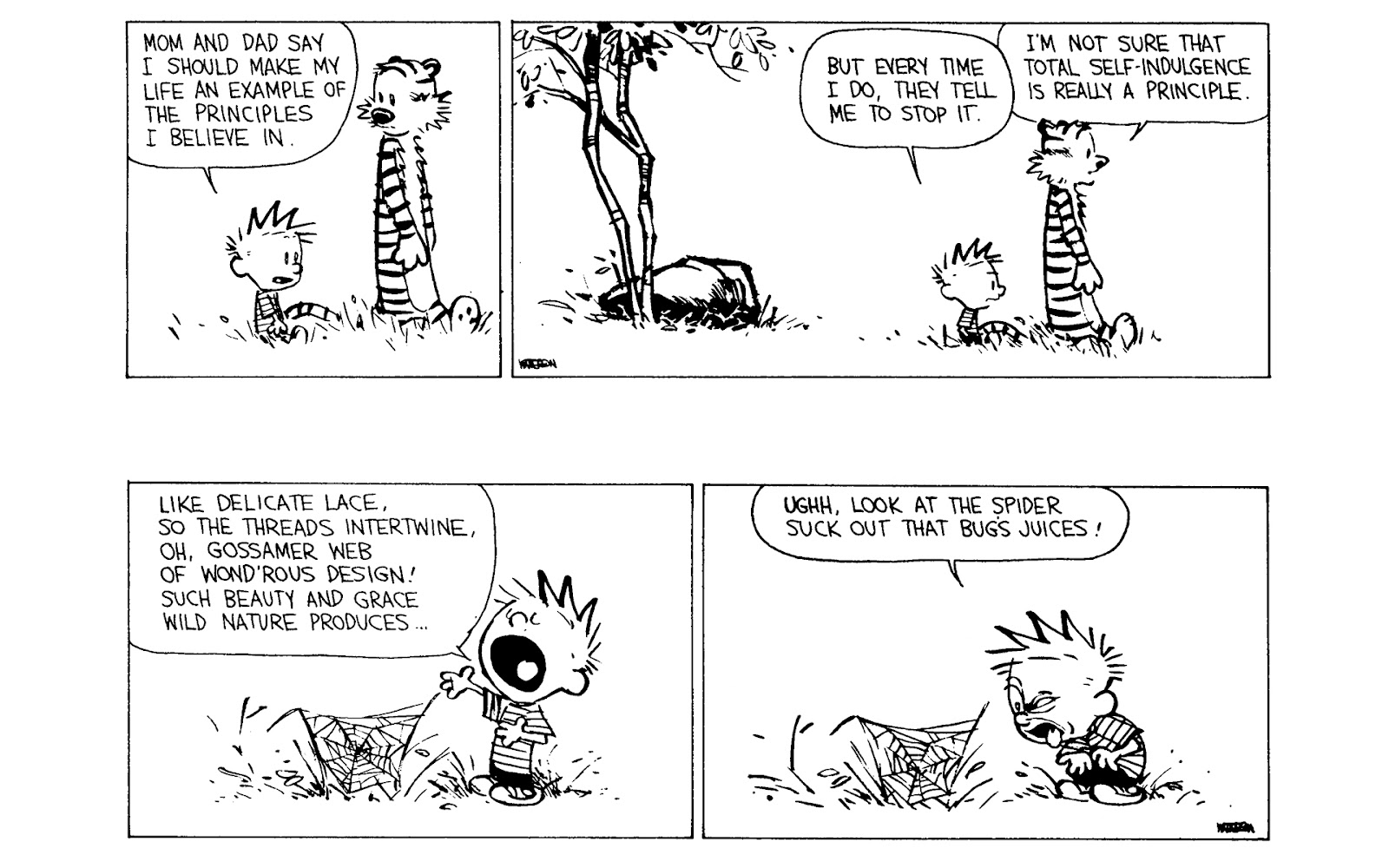 Calvin and Hobbes issue 9 - Page 138