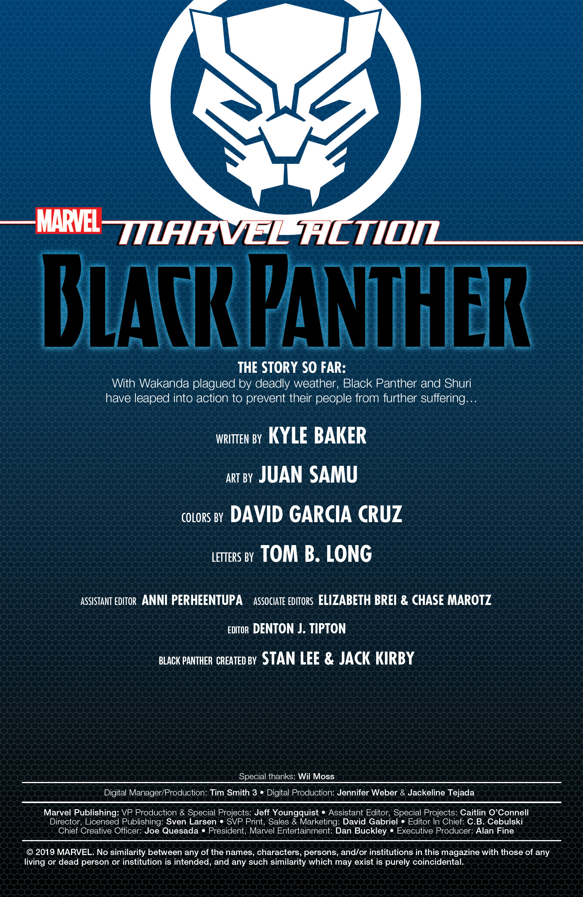 Read online Black Panther (2019) comic -  Issue #2 - 2