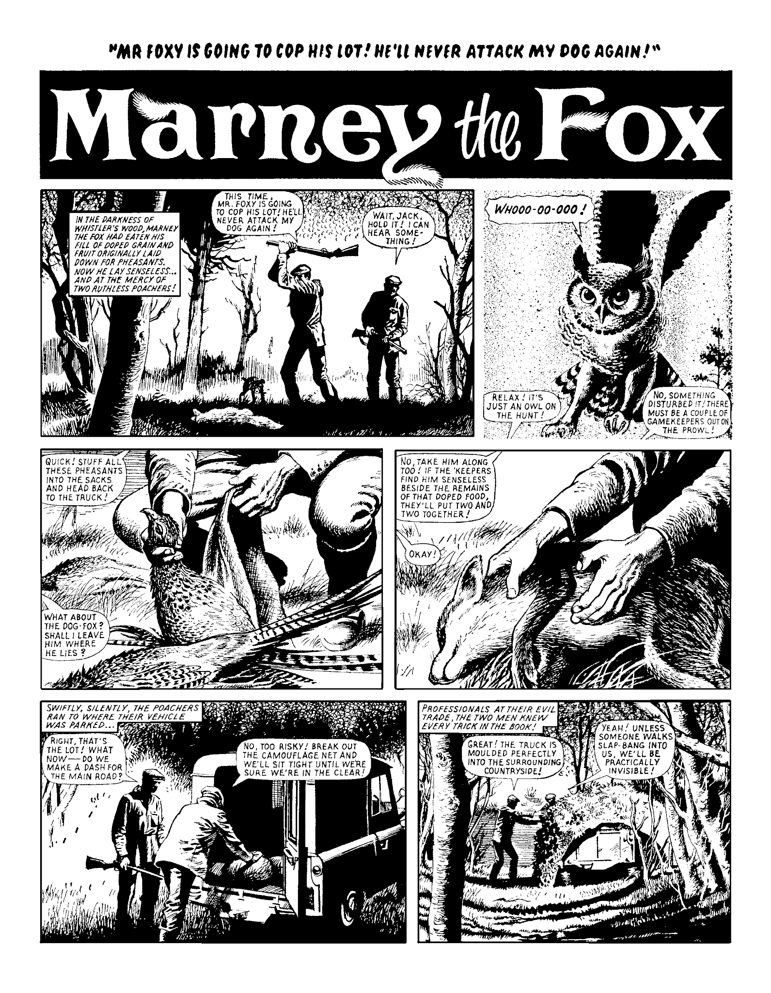 Read online Marney the Fox comic -  Issue # TPB (Part 2) - 60
