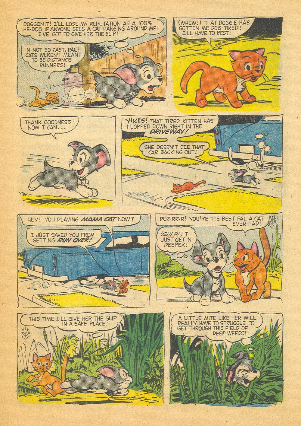 Read online Scamp (1958) comic -  Issue #5 - 5