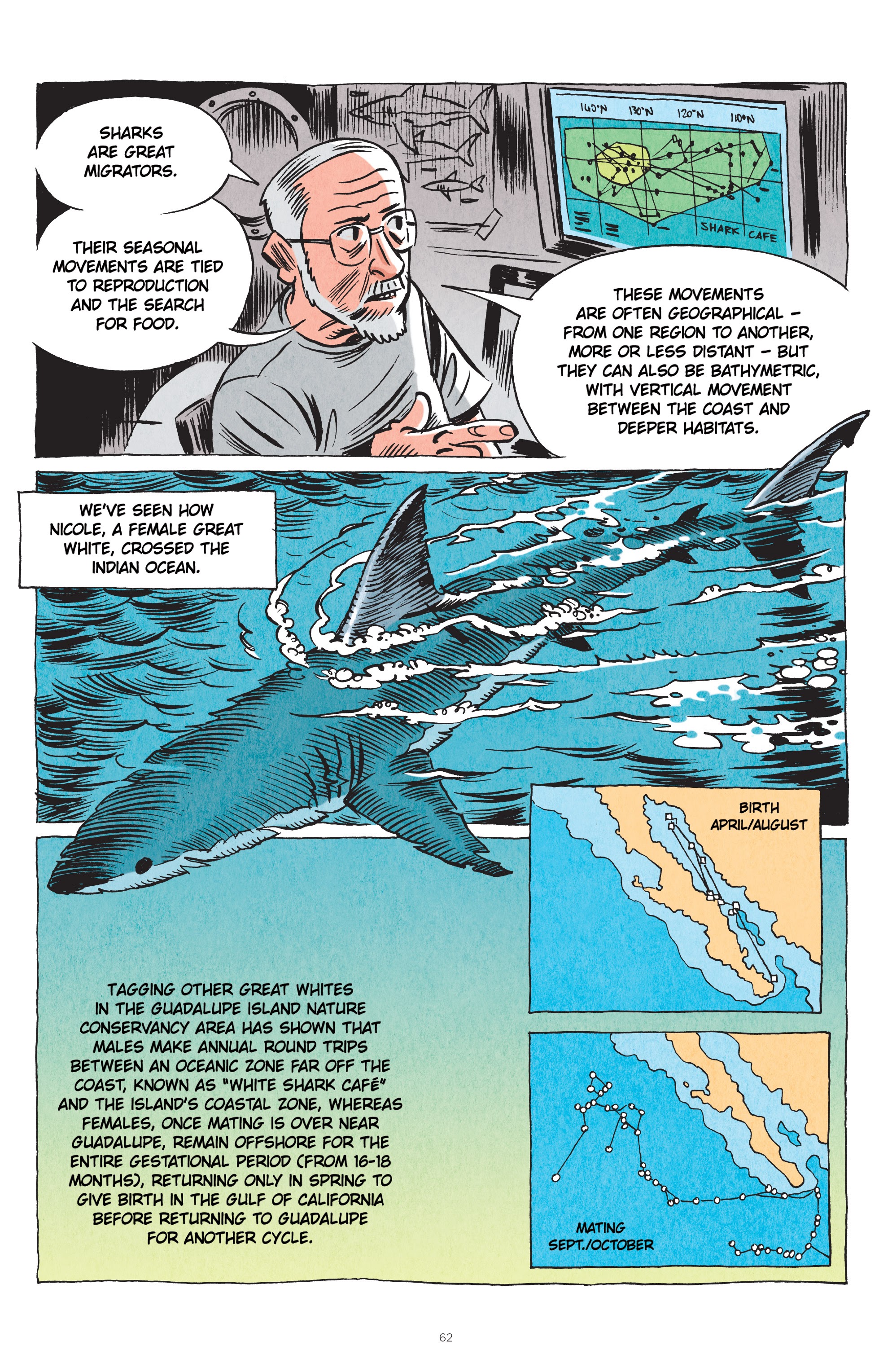 Read online Little Book of Knowledge: Sharks comic -  Issue # TPB - 62