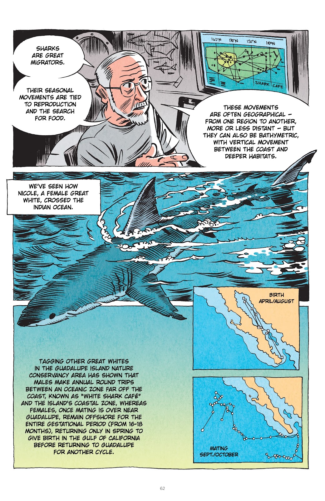 Little Book of Knowledge: Sharks issue TPB - Page 62