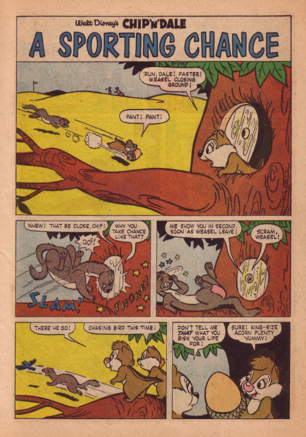 Read online Walt Disney's Chip 'N' Dale comic -  Issue #28 - 9