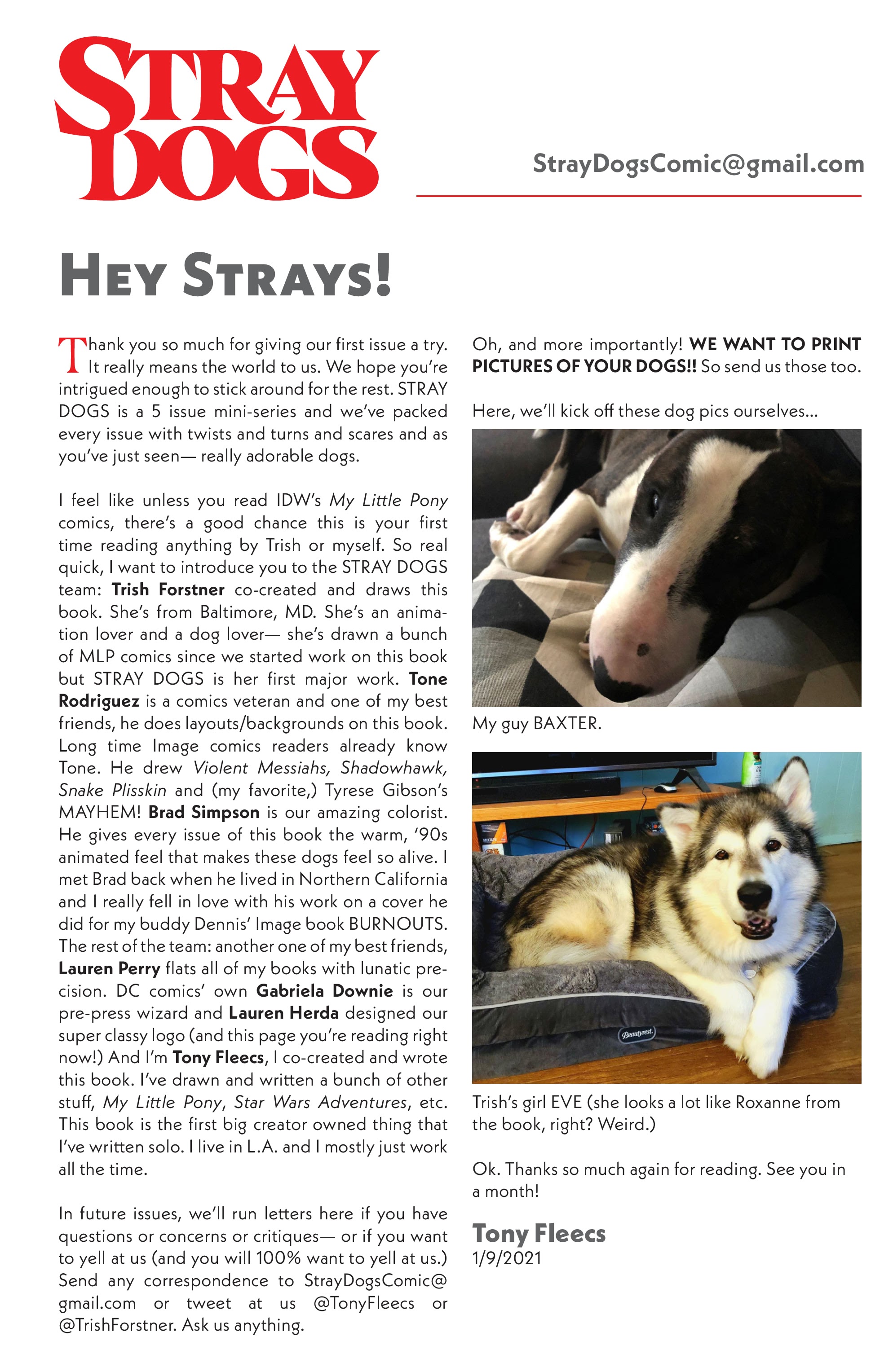 Read online Stray Dogs comic -  Issue #1 - 26