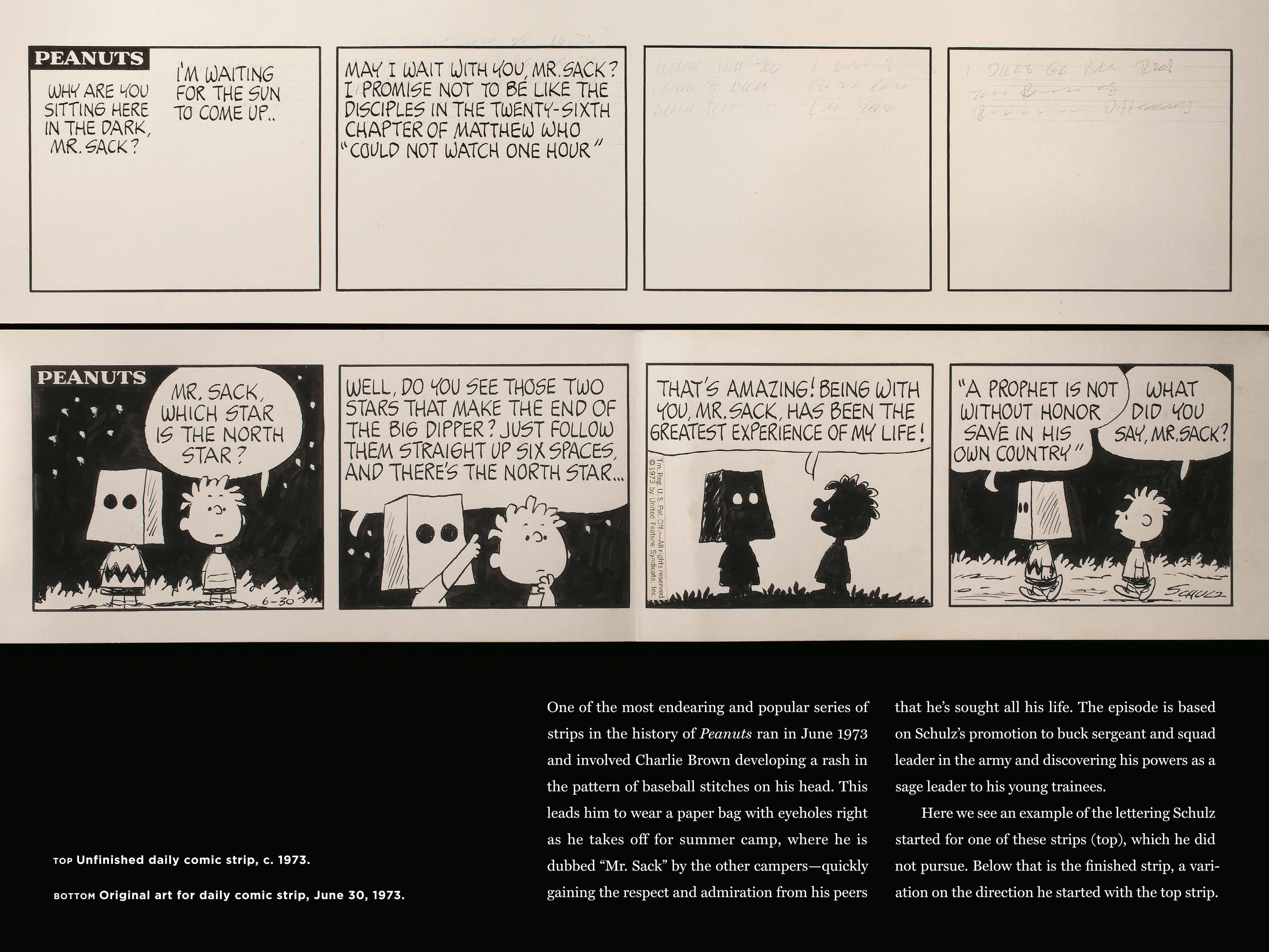 Read online Only What's Necessary: Charles M. Schulz and the Art of Peanuts comic -  Issue # TPB (Part 2) - 16
