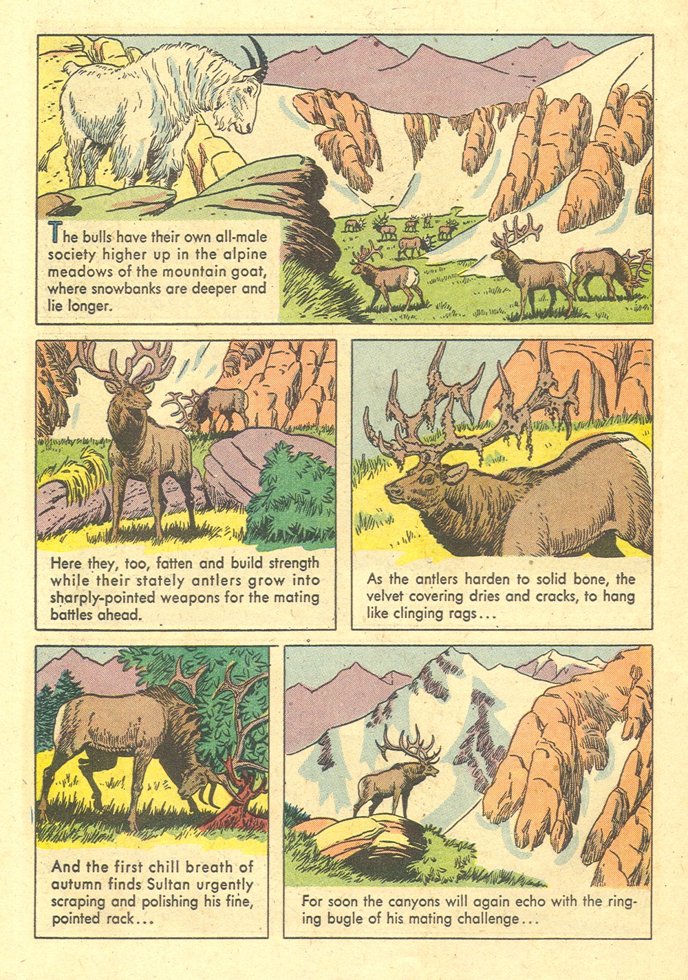 Read online Four Color Comics comic -  Issue #700 - 34