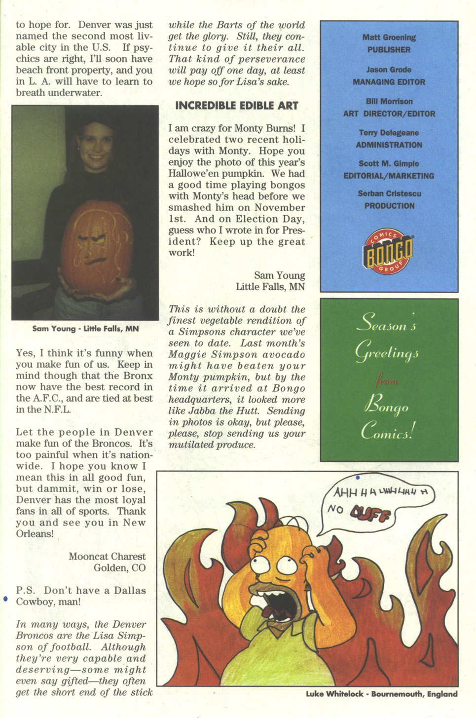 Read online Simpsons Comics comic -  Issue #27 - 25