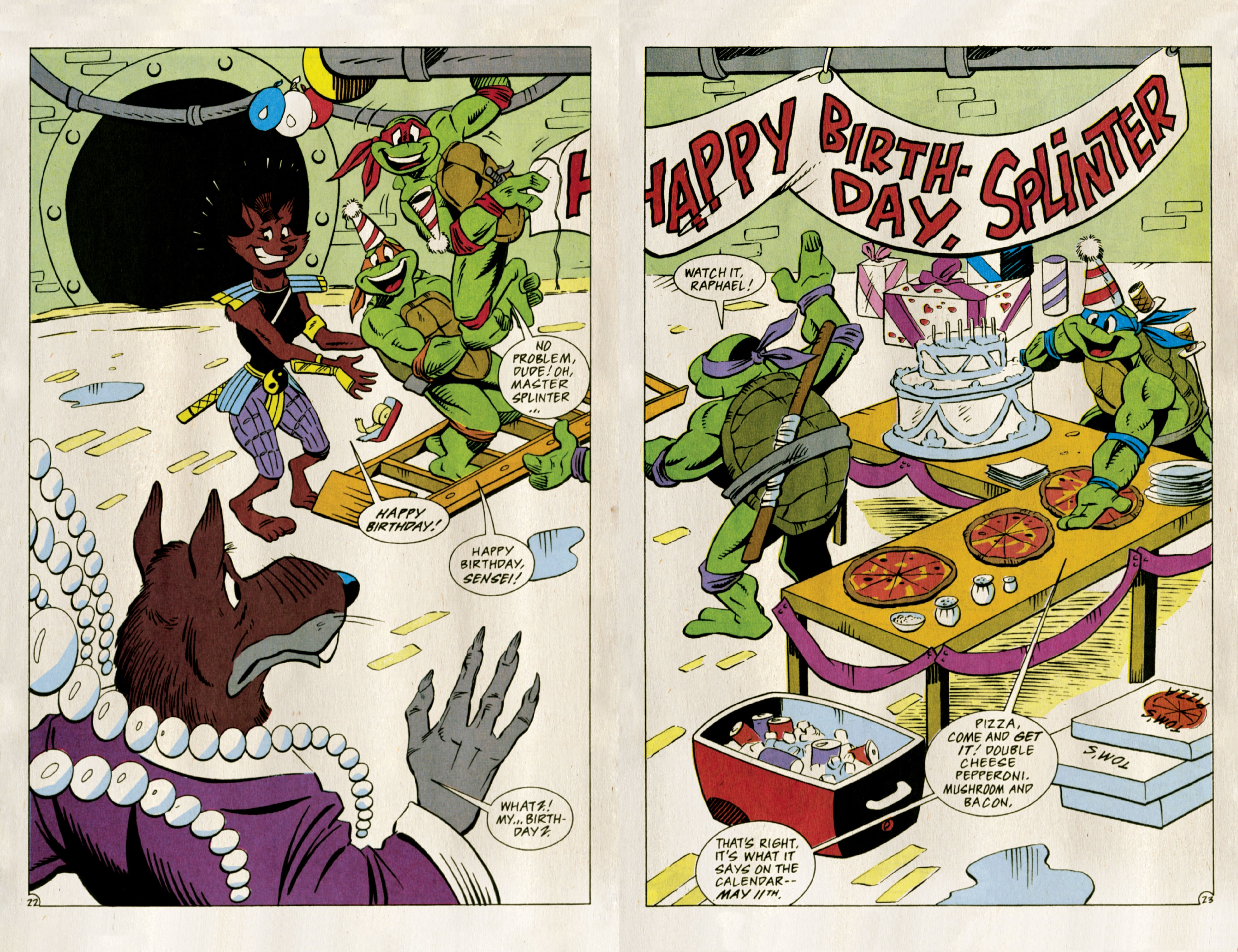 Read online Teenage Mutant Ninja Turtles: Best Of comic -  Issue # Splinter - 24