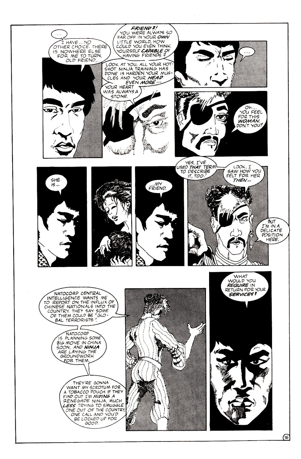 Ninja Funnies issue 2 - Page 19