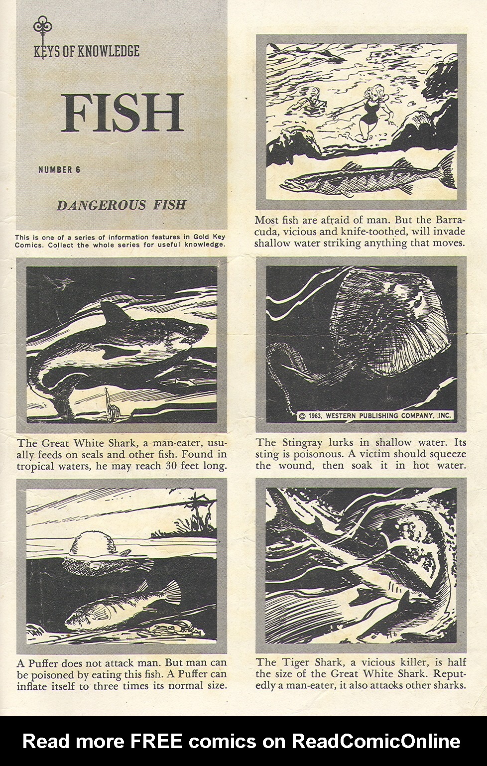 Read online Turok, Son of Stone comic -  Issue #35 - 35