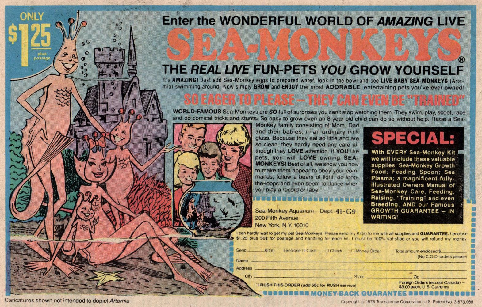 Read online Weird War Tales (1971) comic -  Issue #77 - 34
