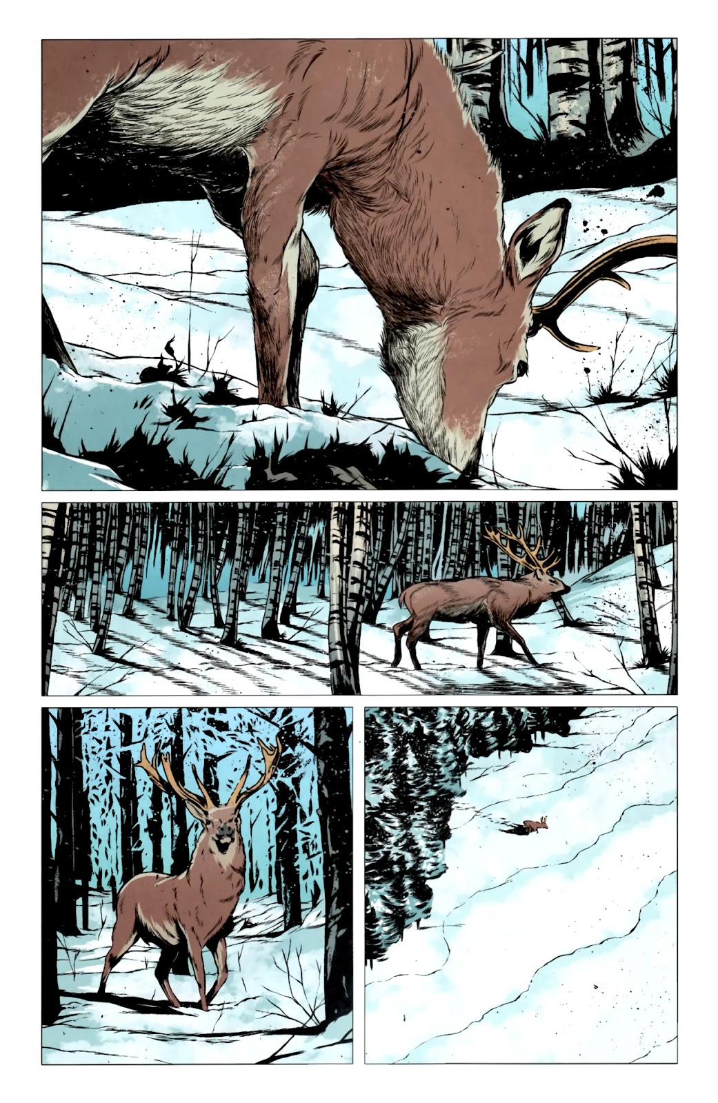 Northlanders issue 40 - Page 8