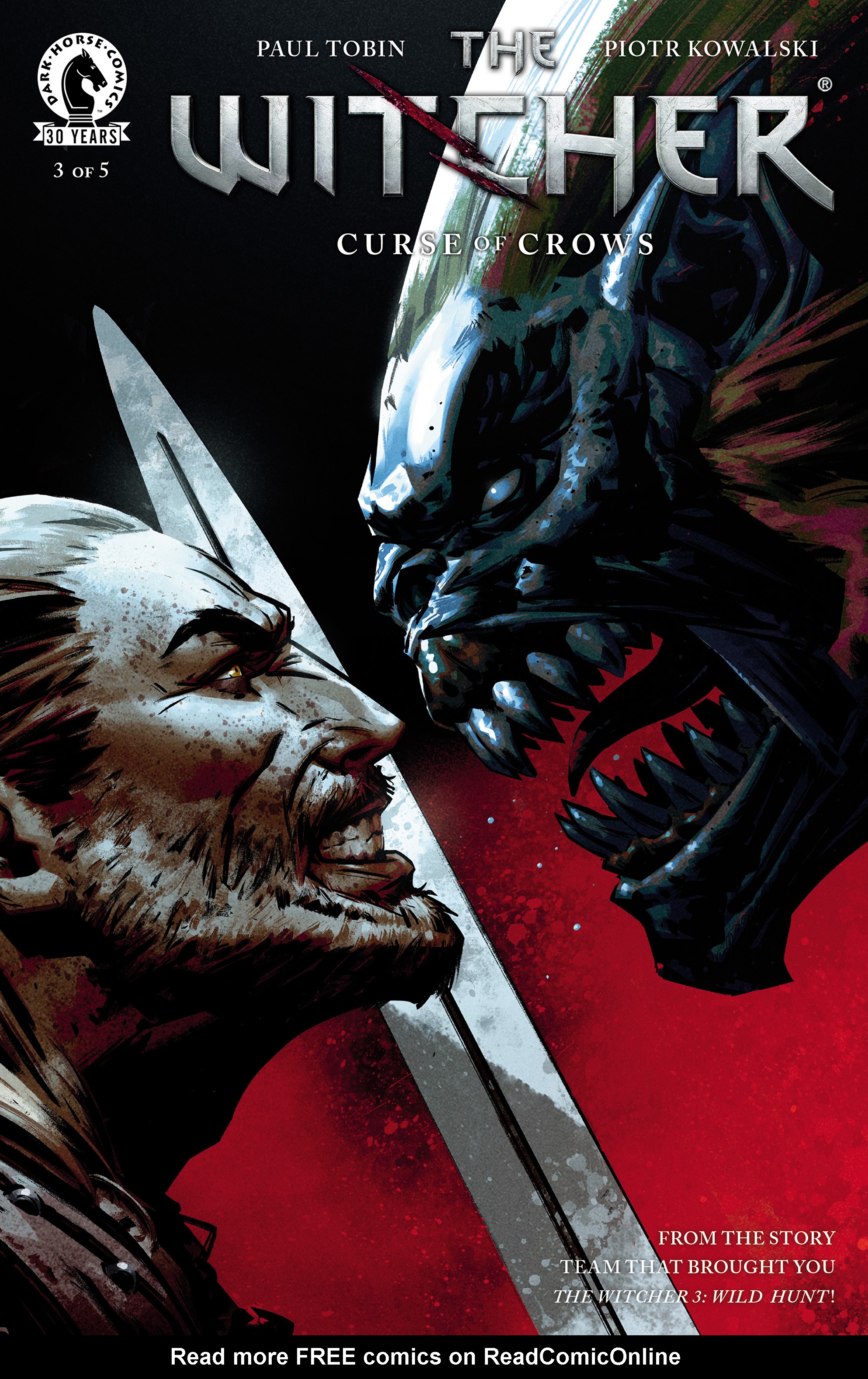 Read online The Witcher Curse of Crows comic Issue 3