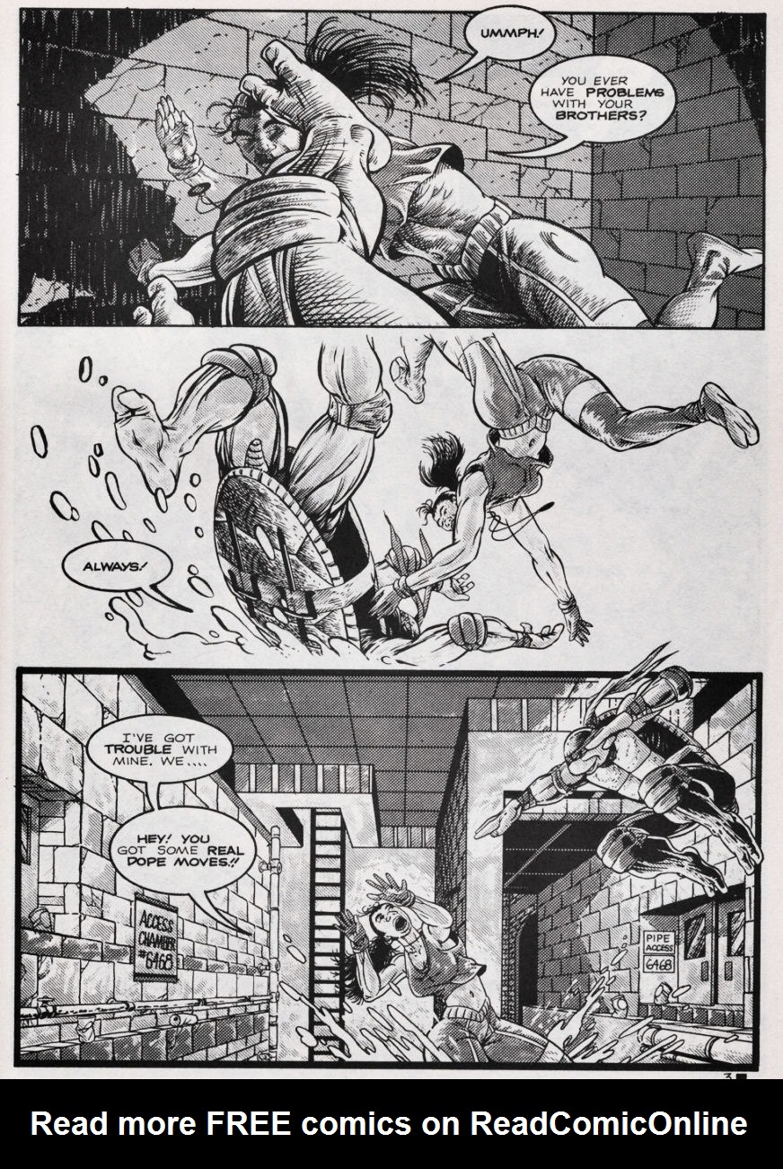 Teenage Mutant Ninja Turtles (1984) Issue #44 #44 - English 4