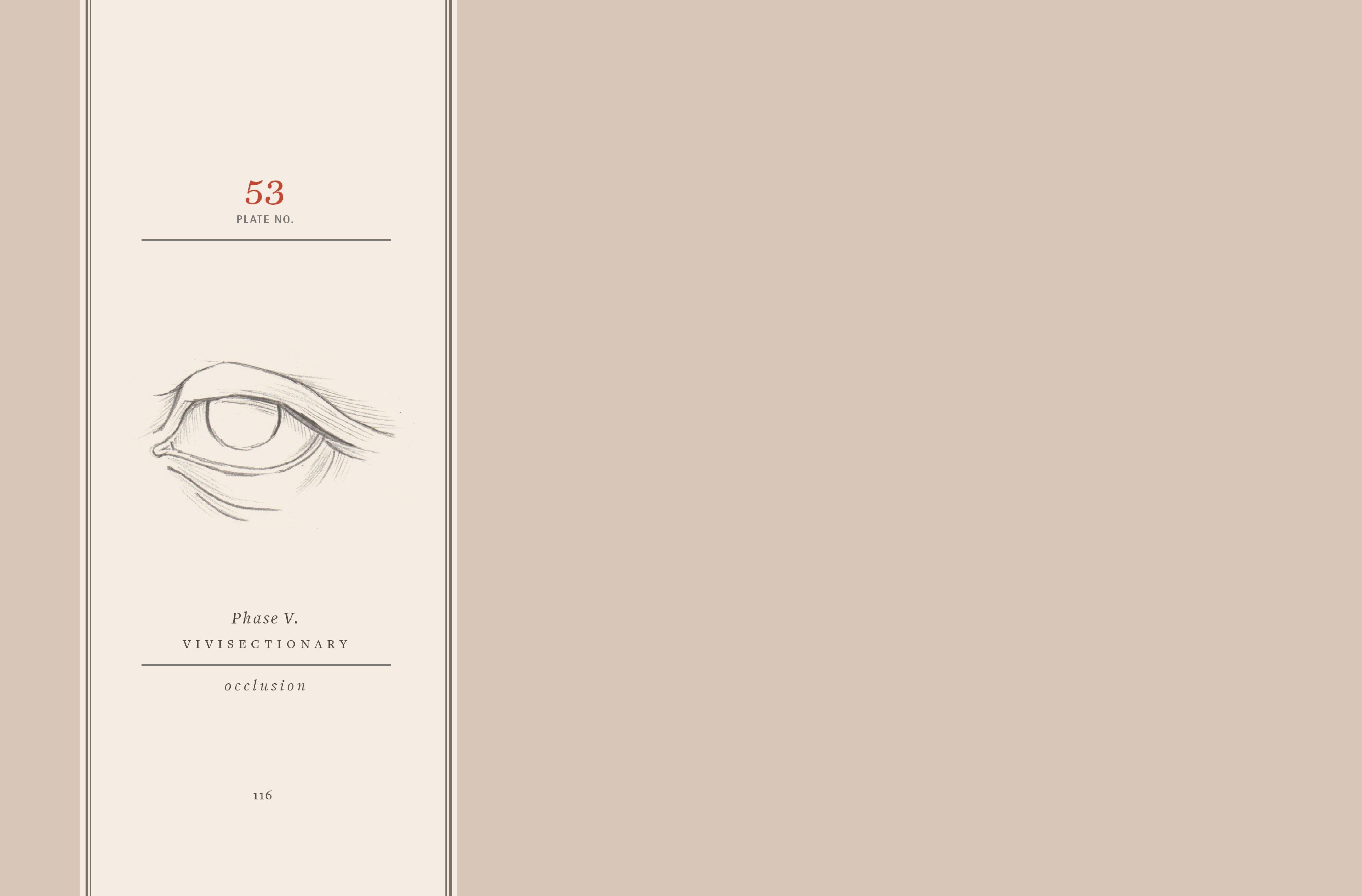 Read online Vivisectionary comic -  Issue # TPB - 117