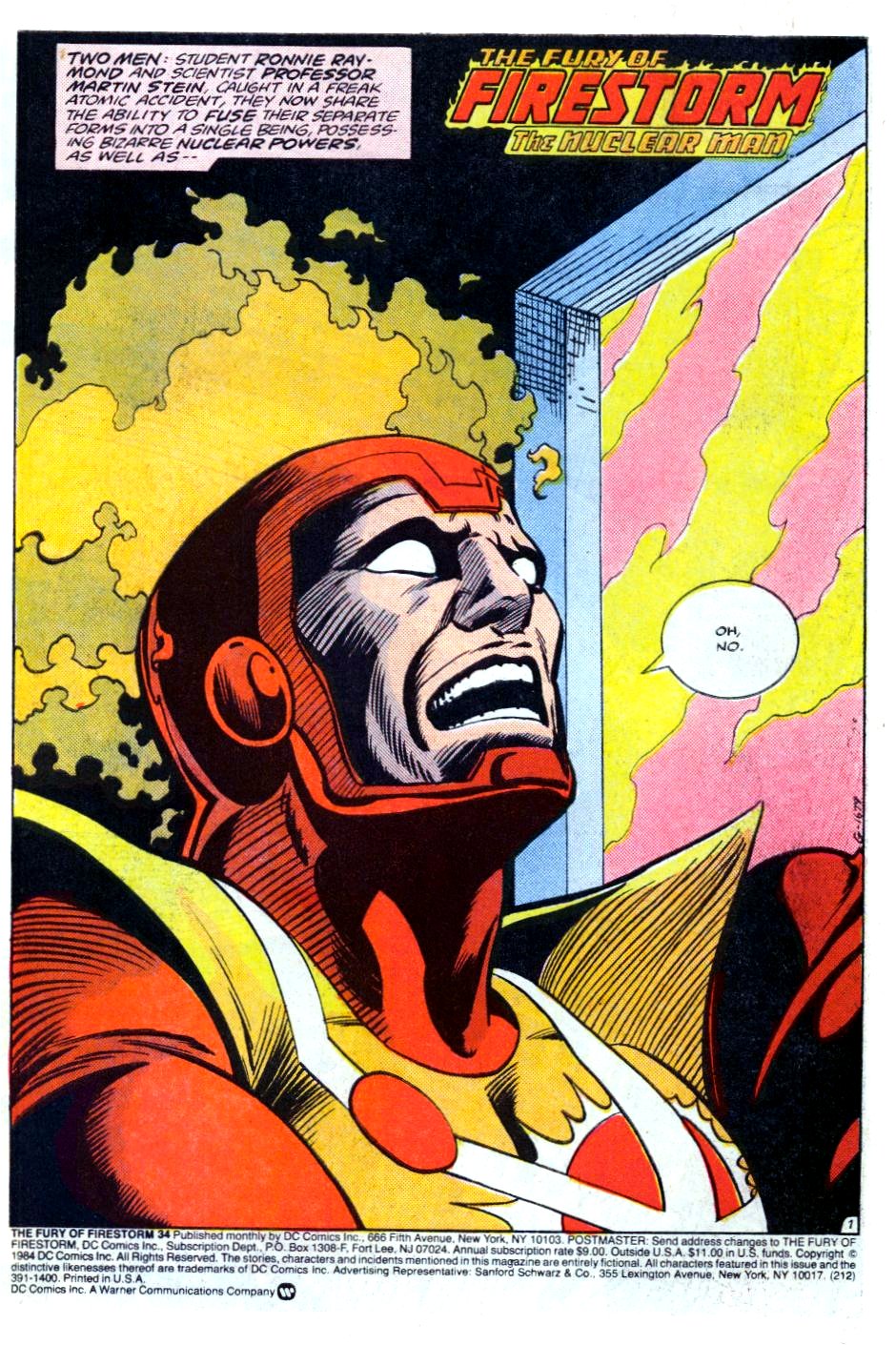 The Fury of Firestorm Issue #34 #38 - English 2