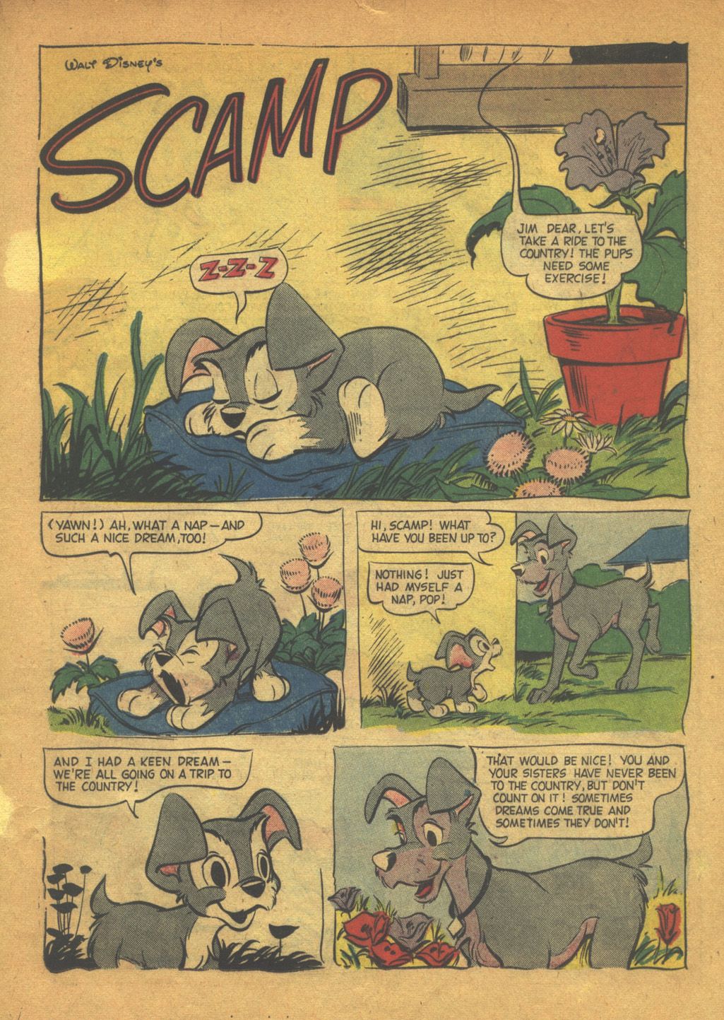 Read online Walt Disney's Comics and Stories comic -  Issue #204 - 13