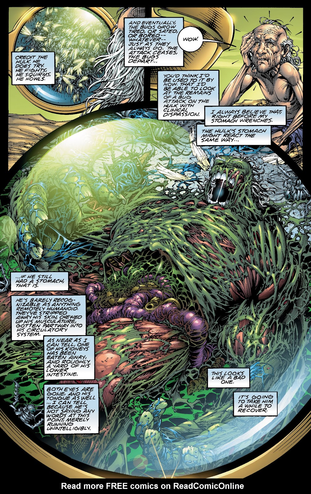 Incredible Hulk: The End issue TPB - Page 17