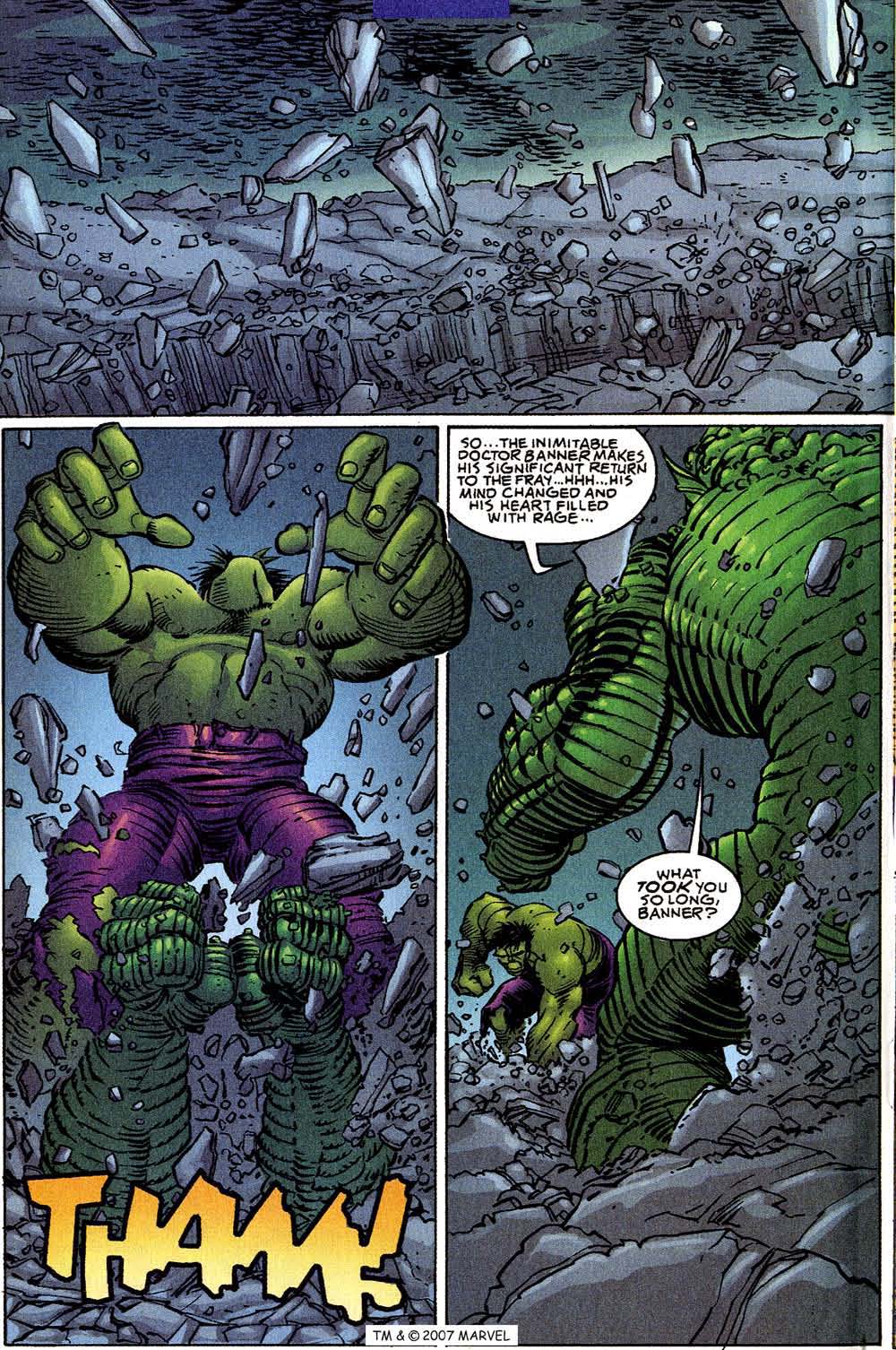 The Incredible Hulk (2000) Issue #25 #14 - English 24