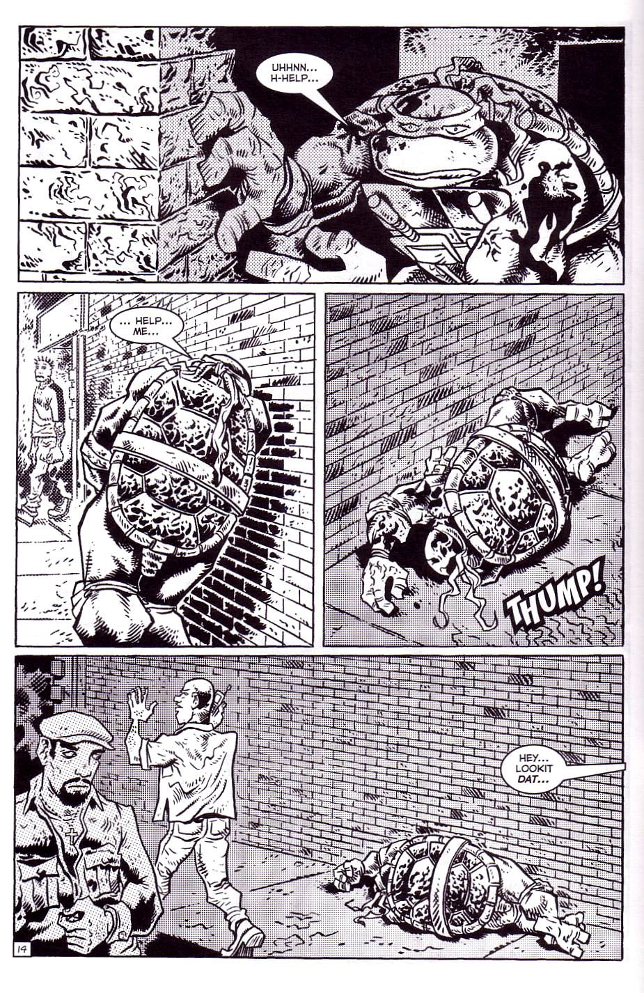TMNT: Teenage Mutant Ninja Turtles issue 13 - Page 17