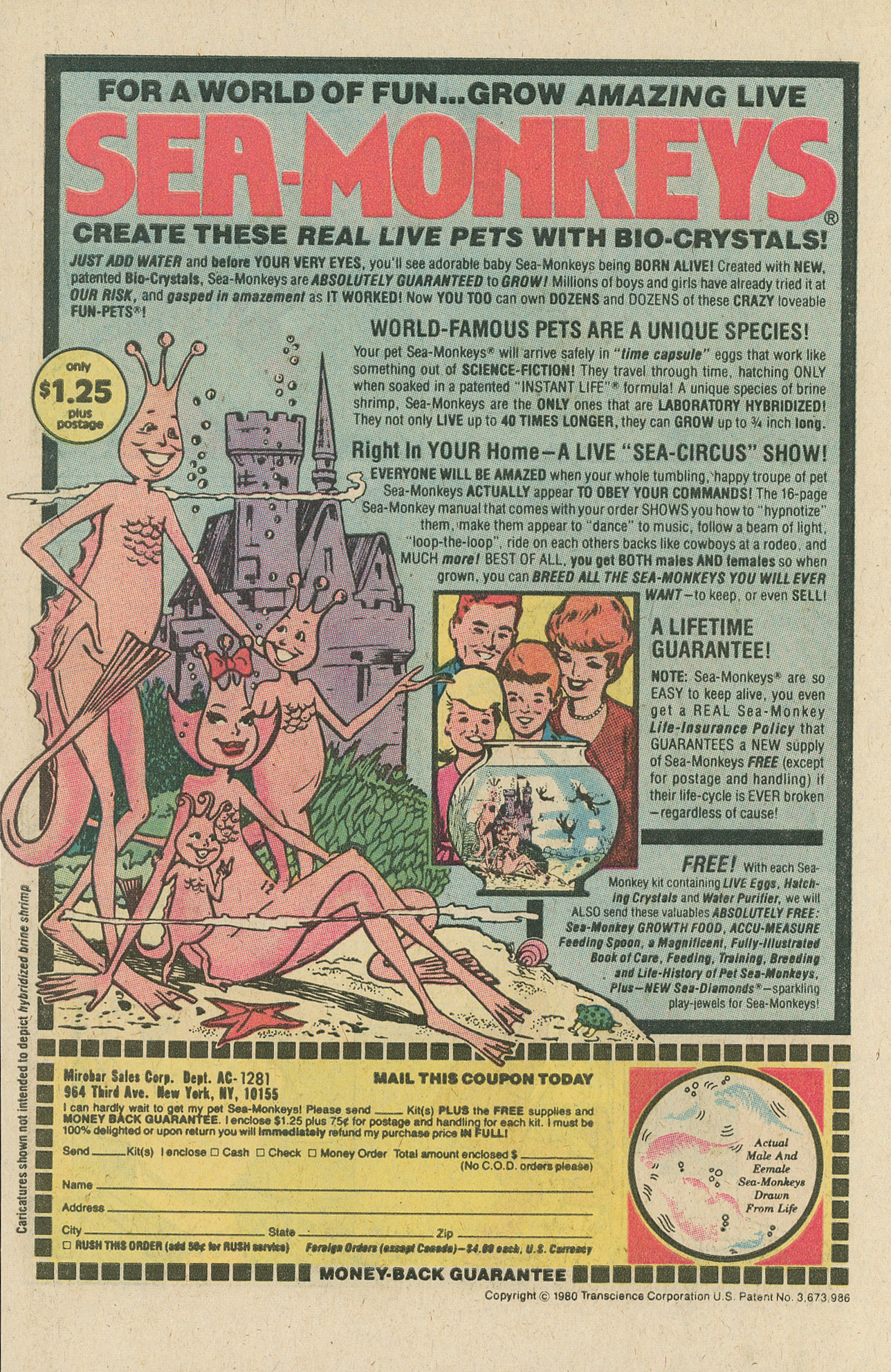 Read online Archie and Me comic -  Issue #131 - 34