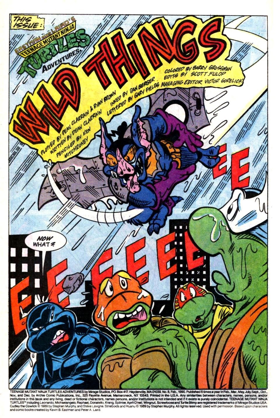 Read online Teenage Mutant Ninja Turtles Adventures (1989) comic -  Issue #8 - 3
