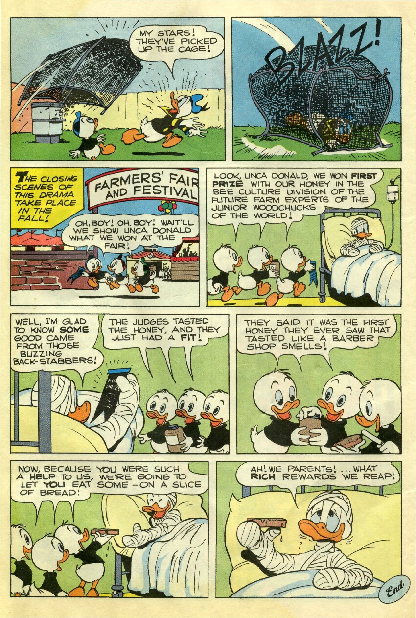 Read online Donald Duck Adventures comic -  Issue #4 - 34