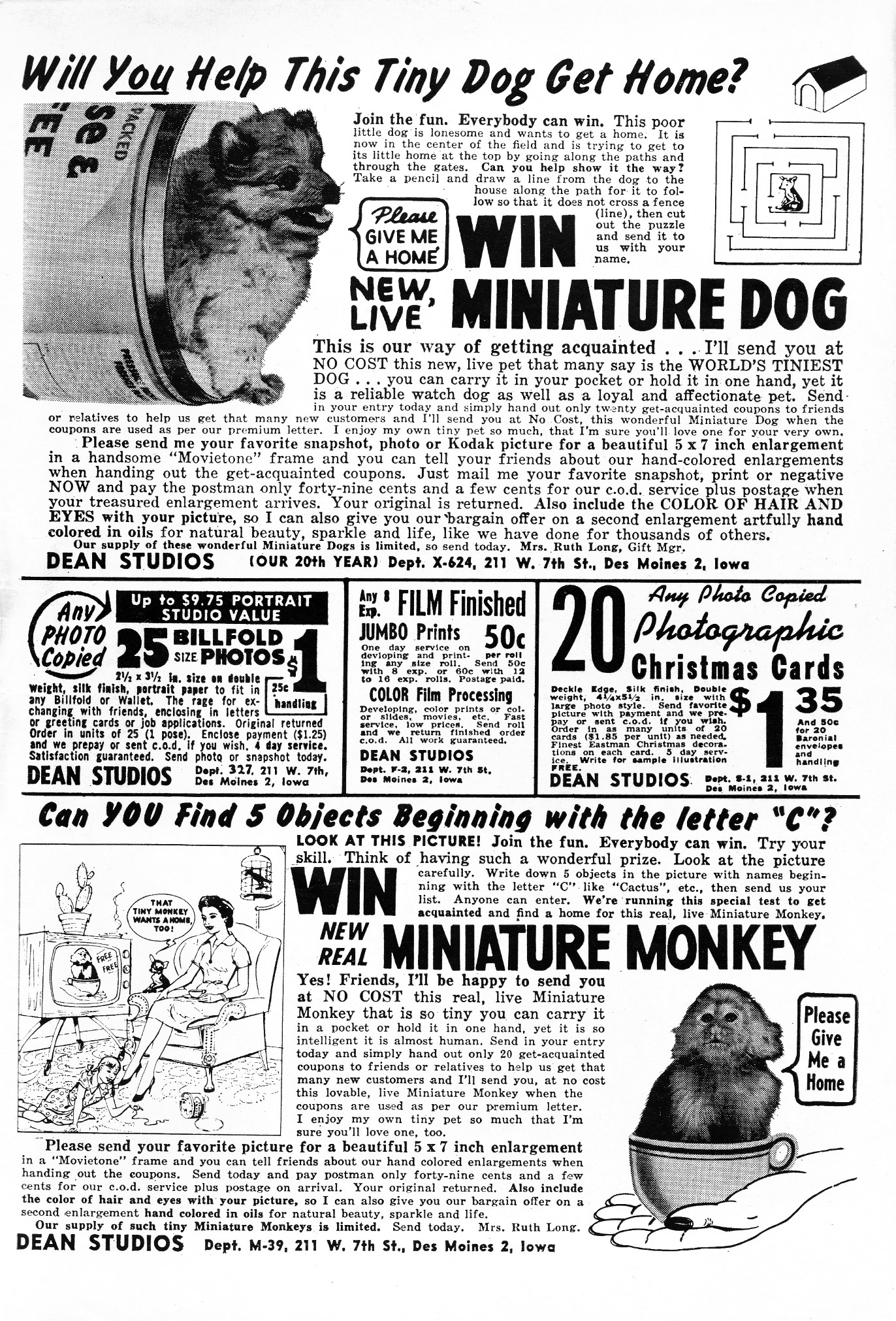 Read online Archie Comics comic -  Issue #101 - 35