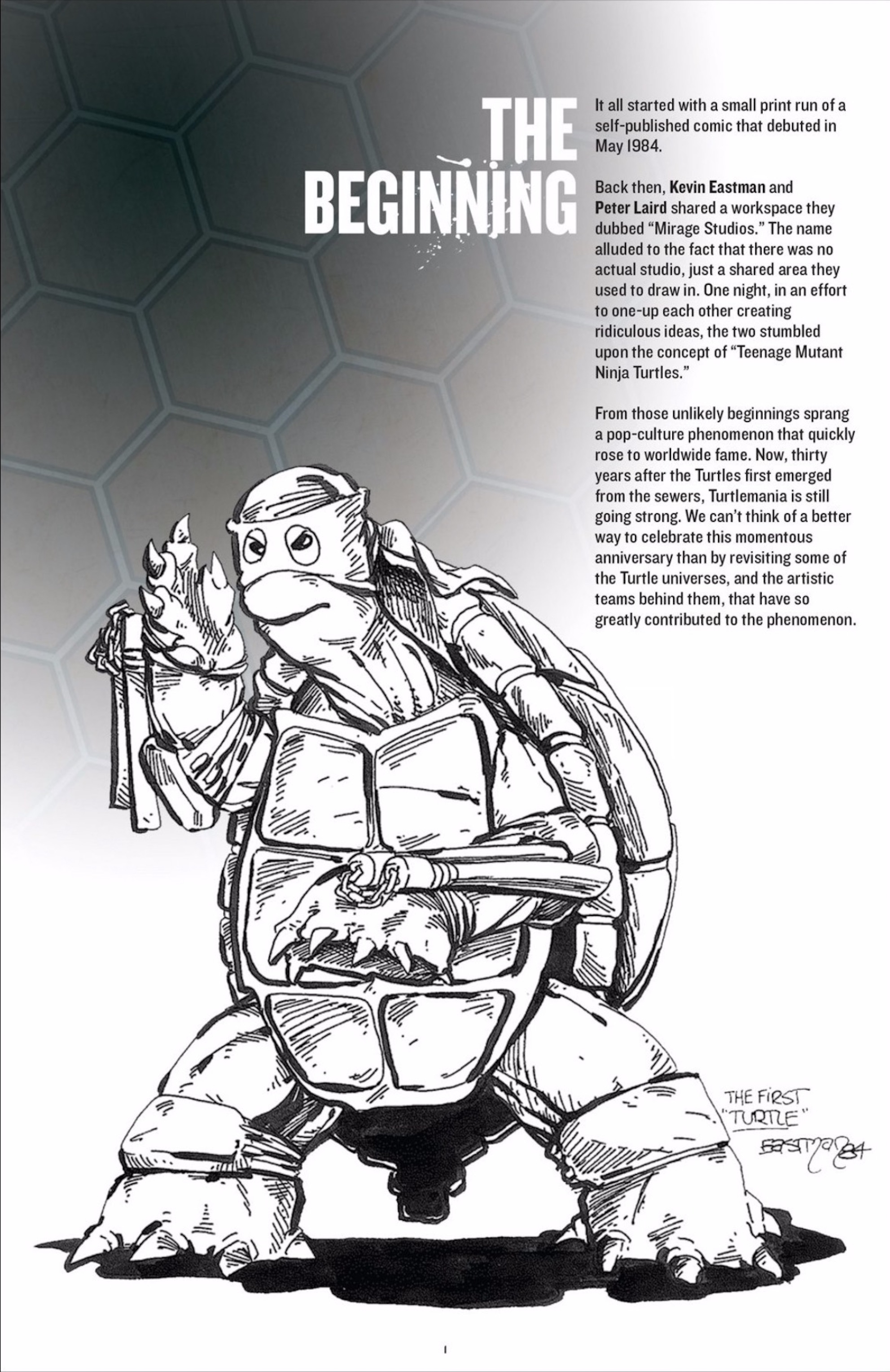 Read online Teenage Mutant Ninja Turtles 30th Anniversary Special comic -  Issue # Full - 11