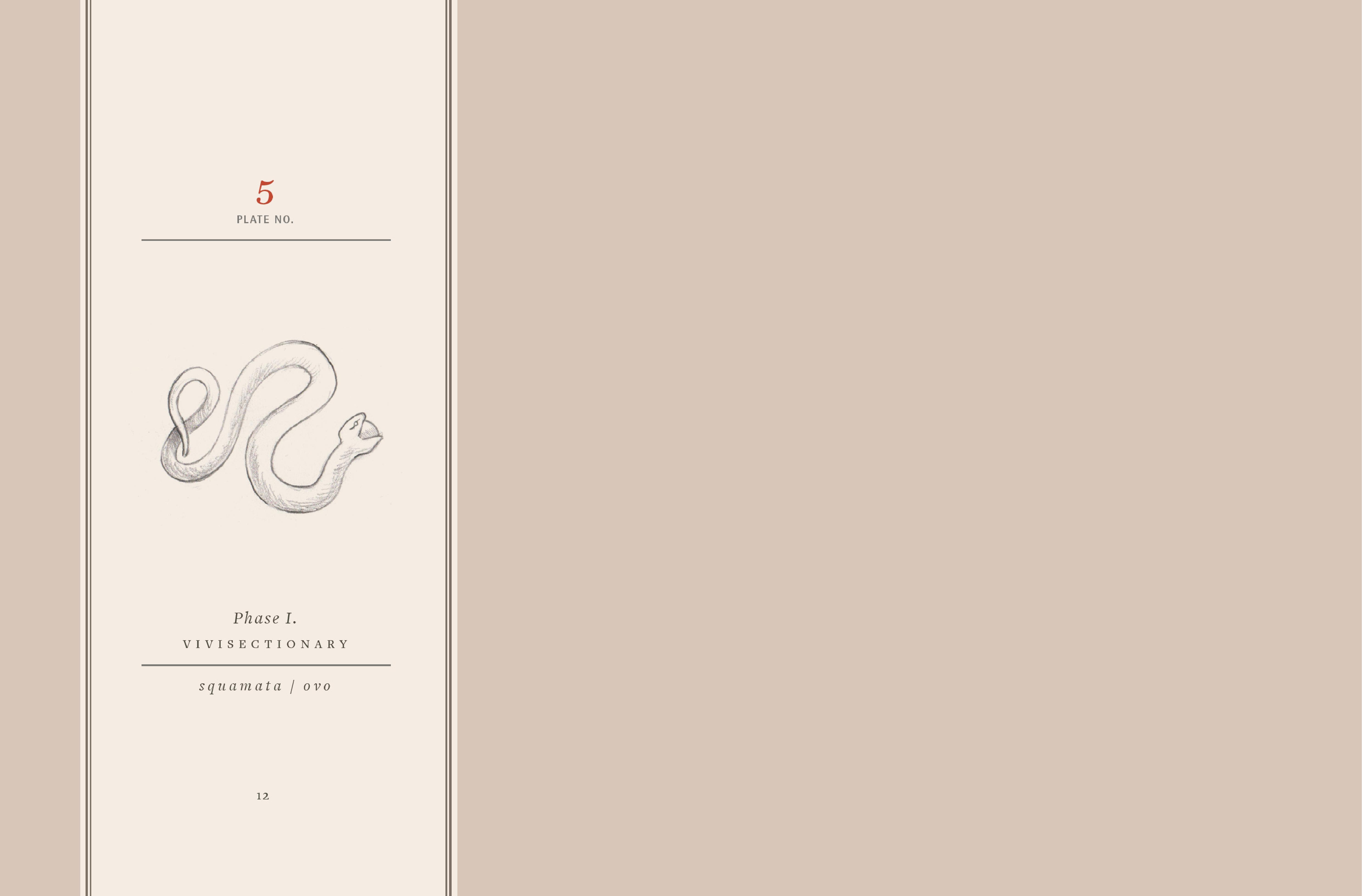 Read online Vivisectionary comic -  Issue # TPB - 13