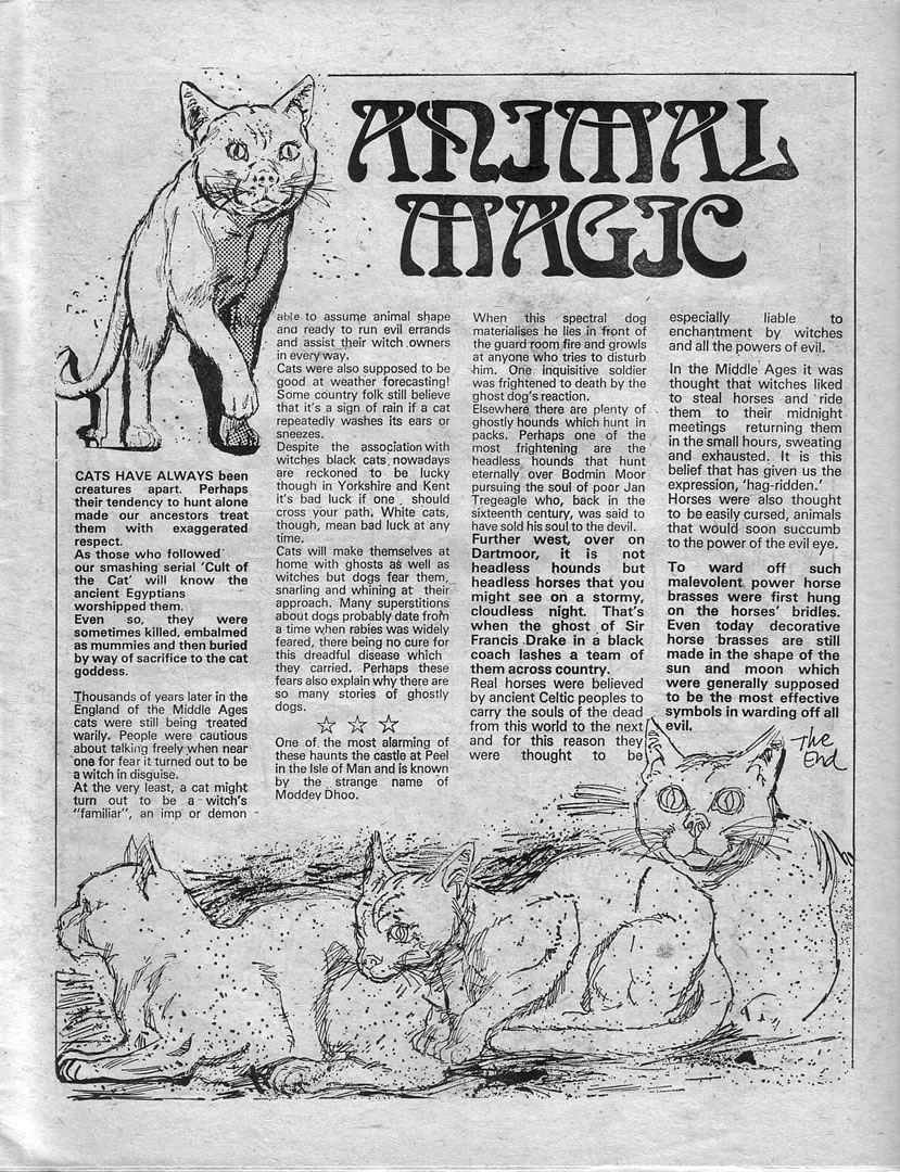Read online Misty comic -  Issue #17 - 11