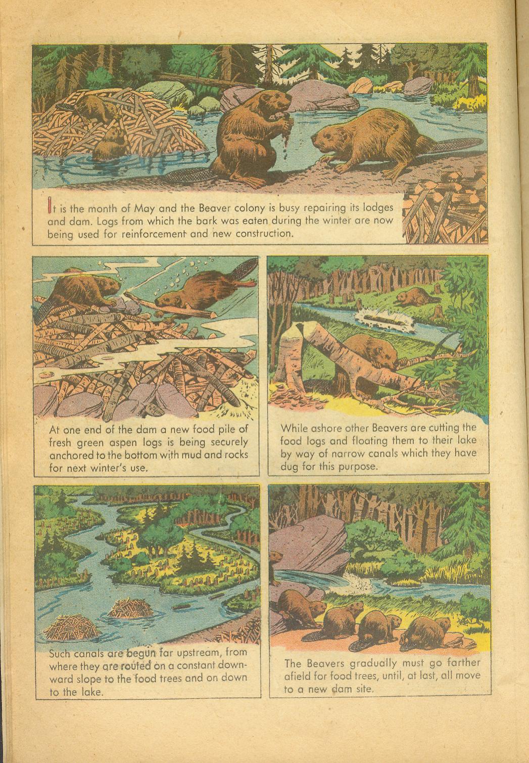 Read online Four Color Comics comic -  Issue #625 - 10