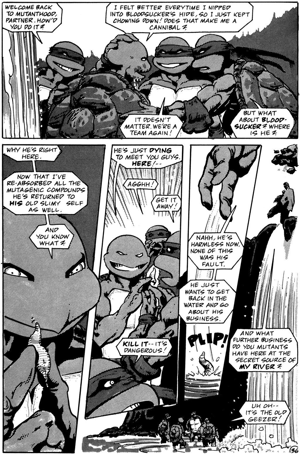 Teenage Mutant Ninja Turtles (1984) Issue #26 #26 - English 38