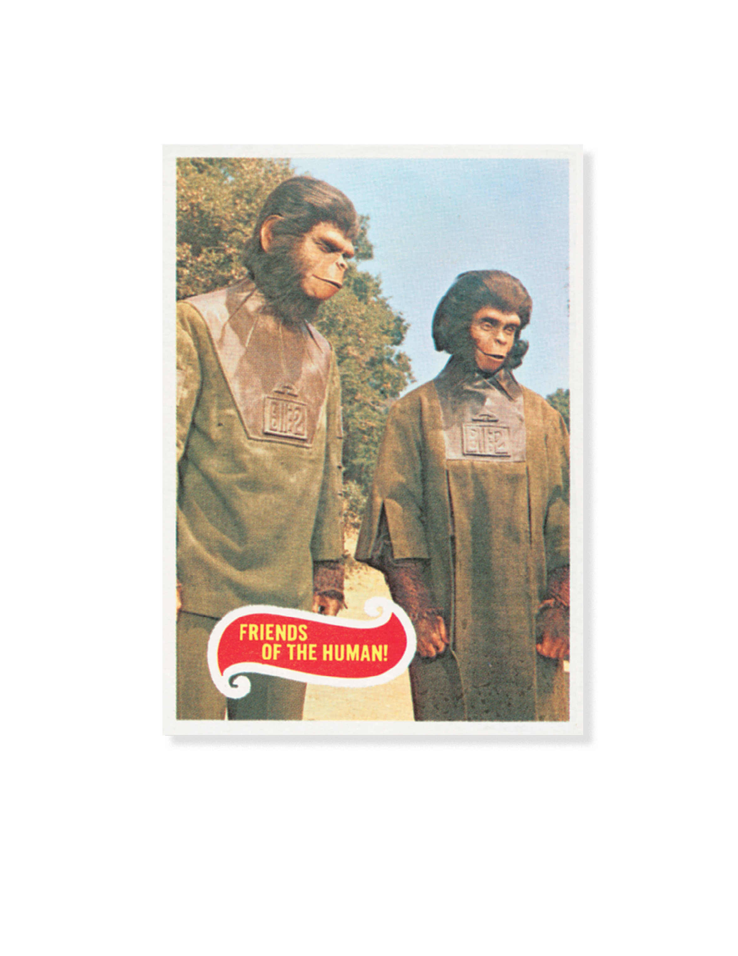 Read online Planet of the Apes: The Original Topps Trading Card Series comic -  Issue # TPB (Part 2) - 6