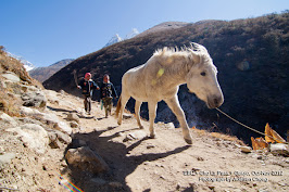 Trekking along Imja Khola toward Dingboche