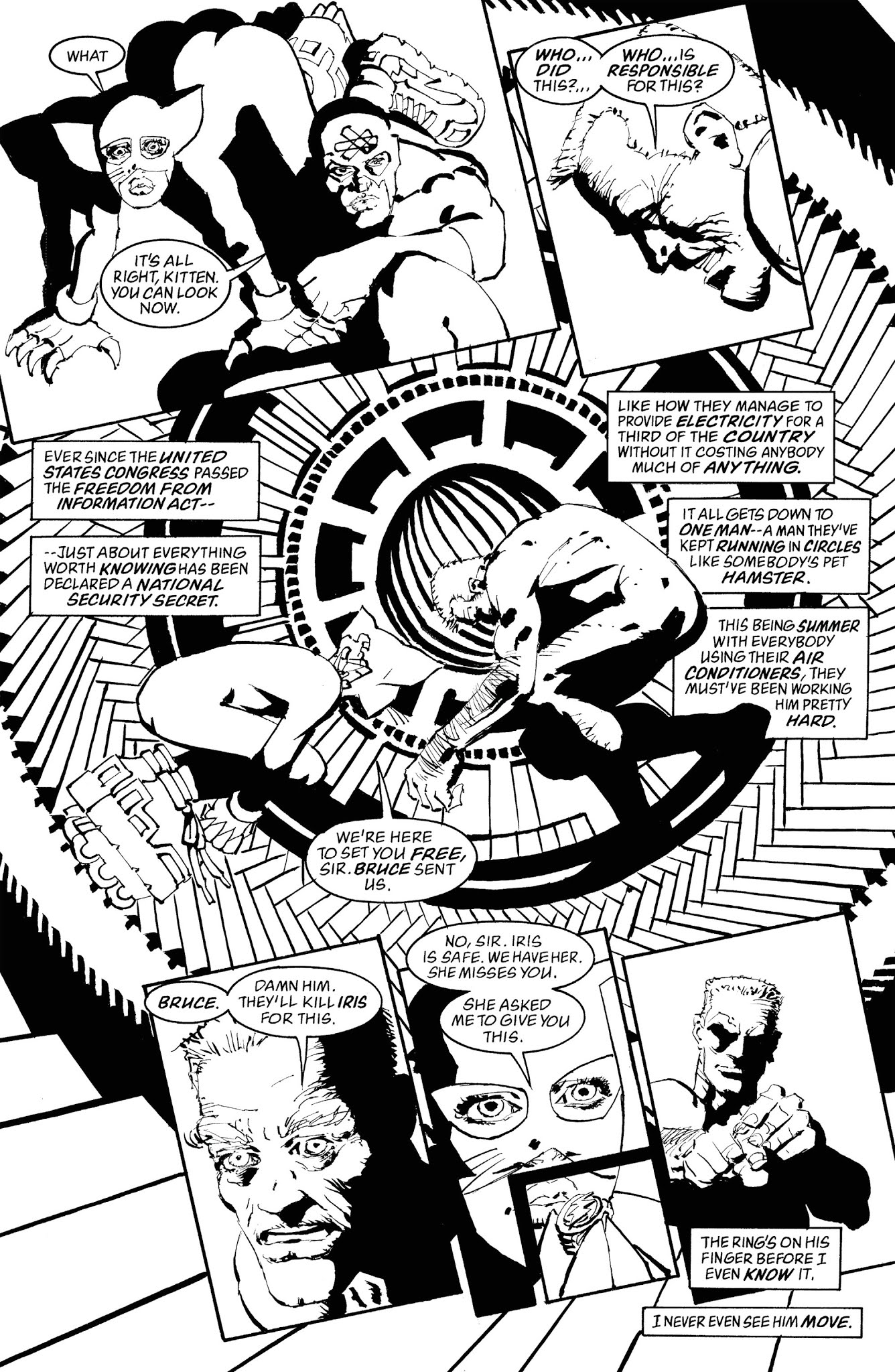 Read online Batman Noir: The Dark Knight Strikes Again comic -  Issue # TPB (Part 1) - 55