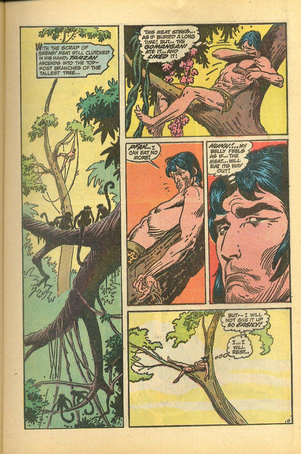 Read online Tarzan (1972) comic -  Issue #214 - 9