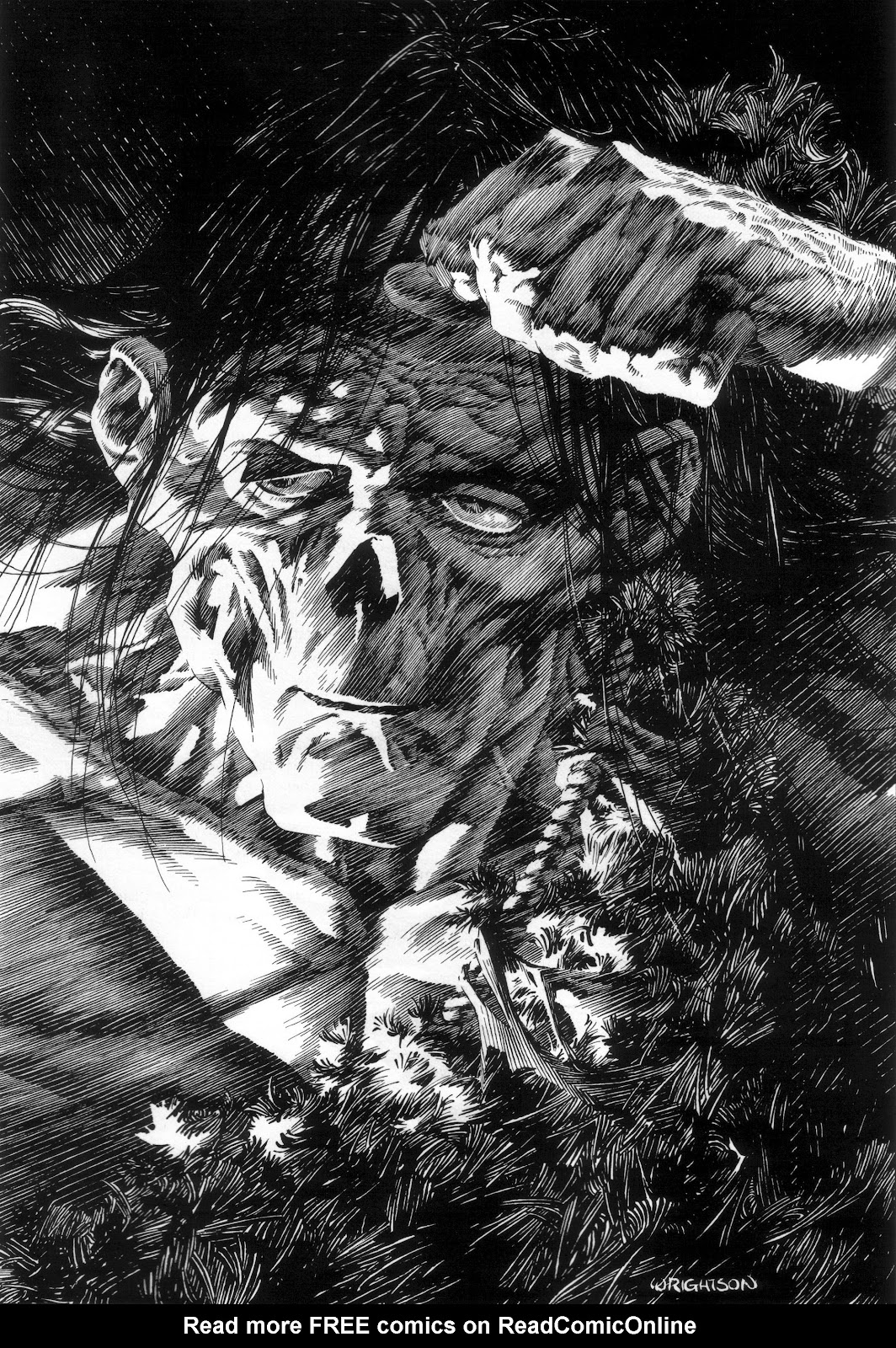 Bernie Wrightson's Frankenstein issue Full - Page 44