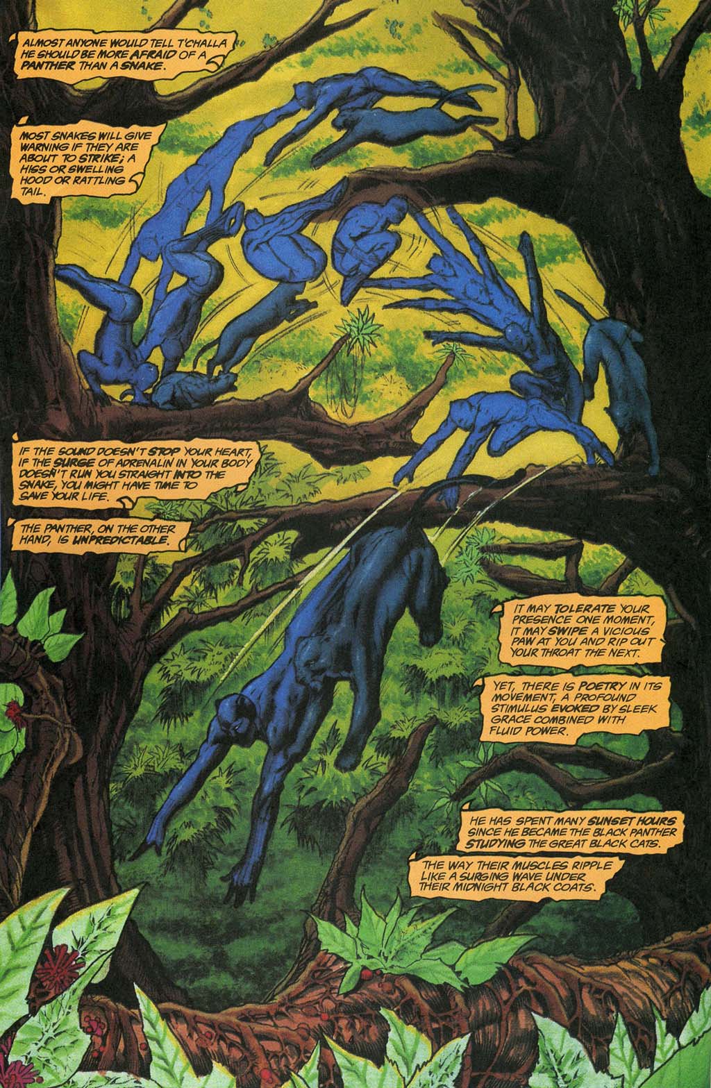 Black Panther: Panthers Prey 3 Page 5