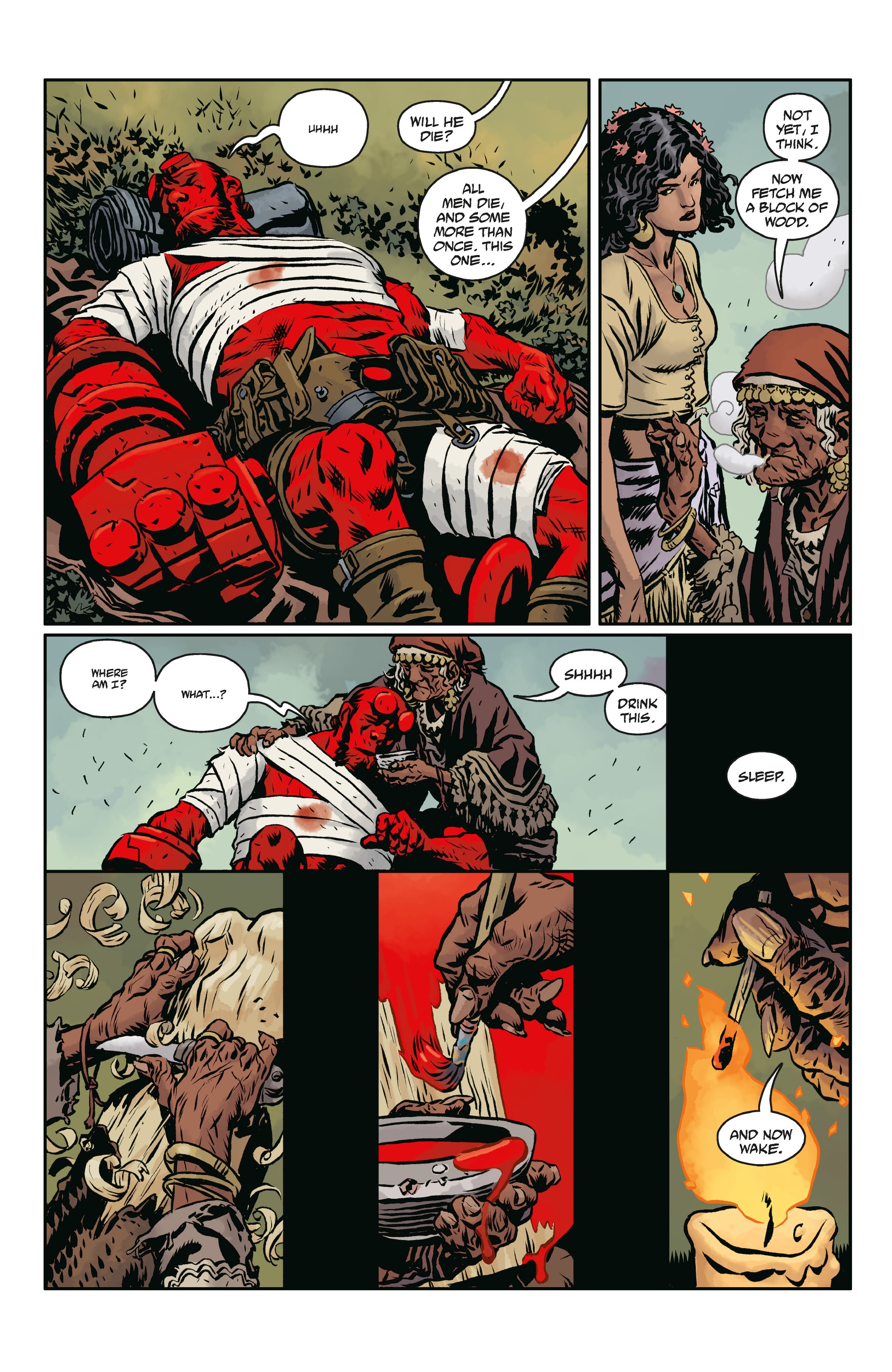 Read online Hellboy and the B.P.R.D.: The Beast of Vargu comic -  Issue # Full - 12