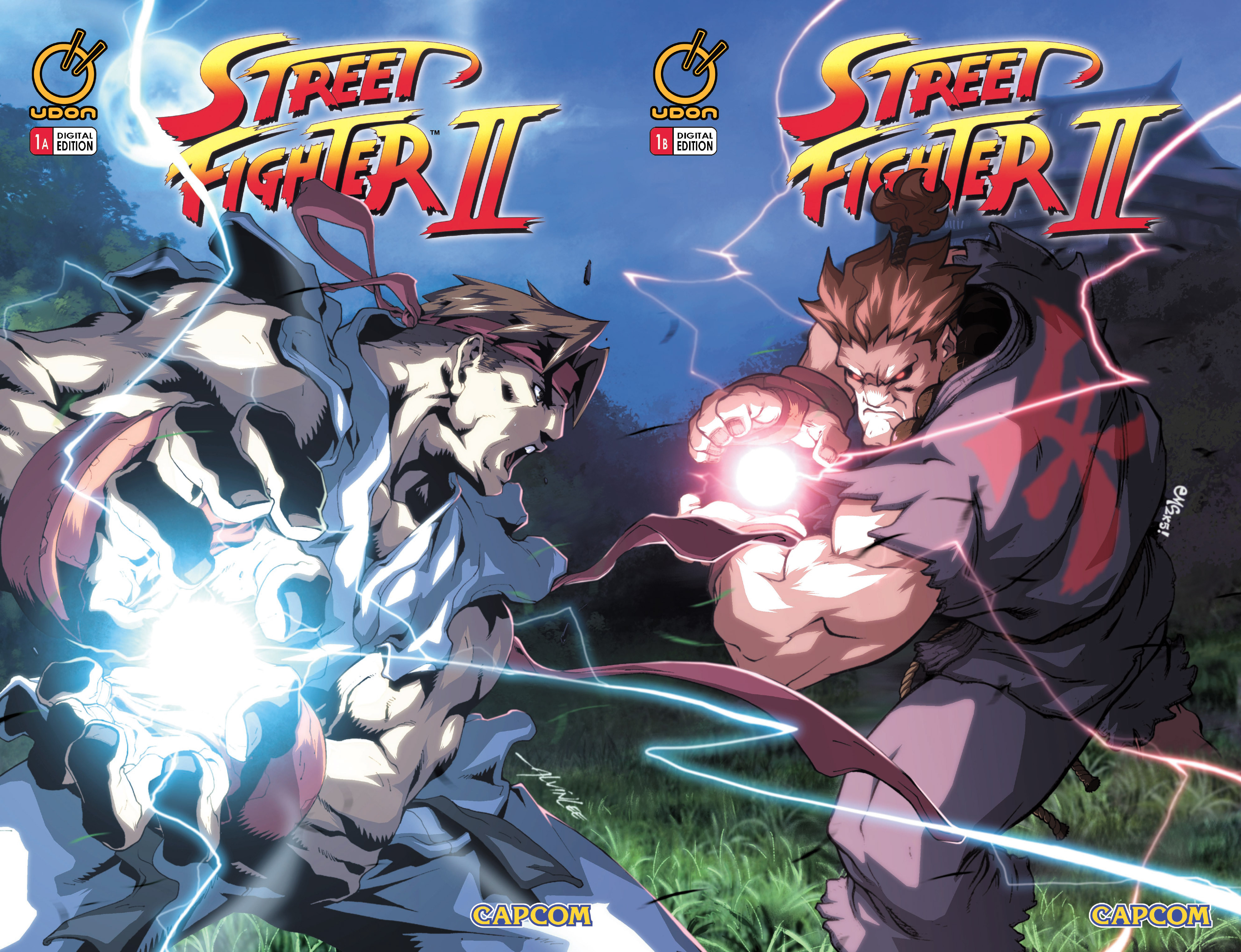 Read online Street Fighter II comic -  Issue #1 - 3