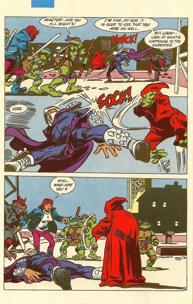 Read online Teenage Mutant Ninja Turtles Adventures (1989) comic -  Issue #22 - 25