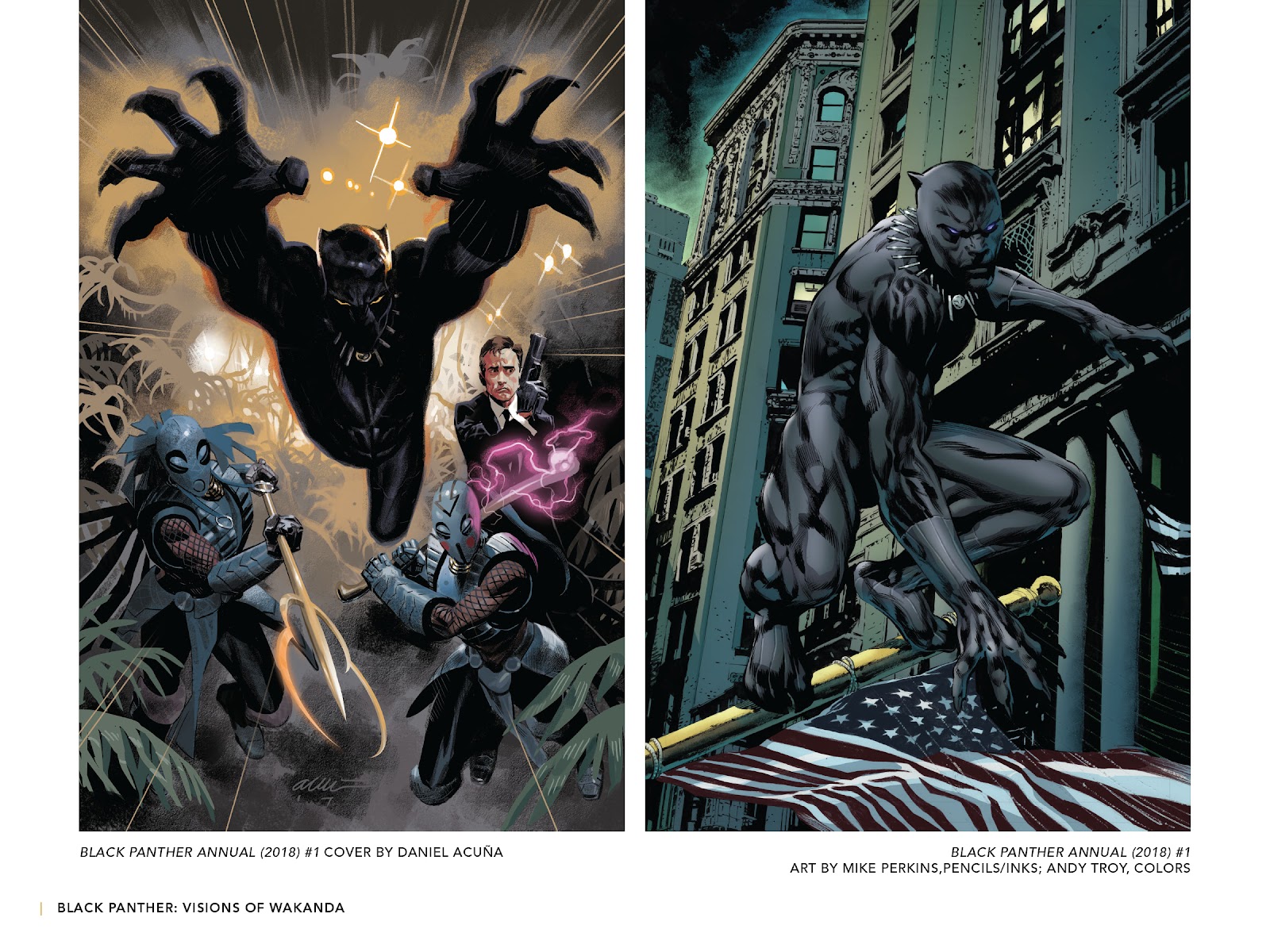 Black Panther: Visions of Wakanda issue TPB (Part 4) - Page 48