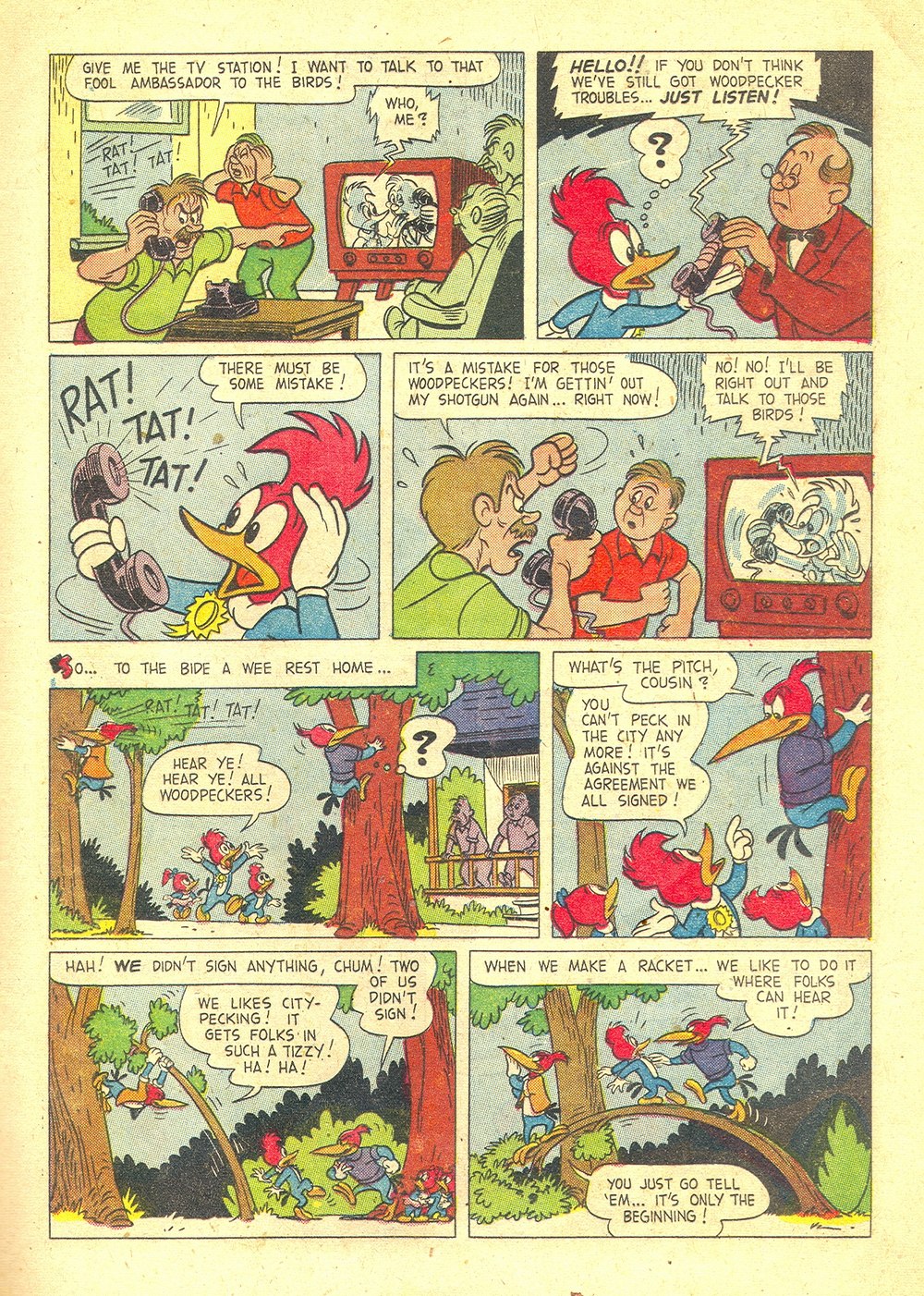 Read online Walter Lantz Woody Woodpecker (1952) comic -  Issue #36 - 17