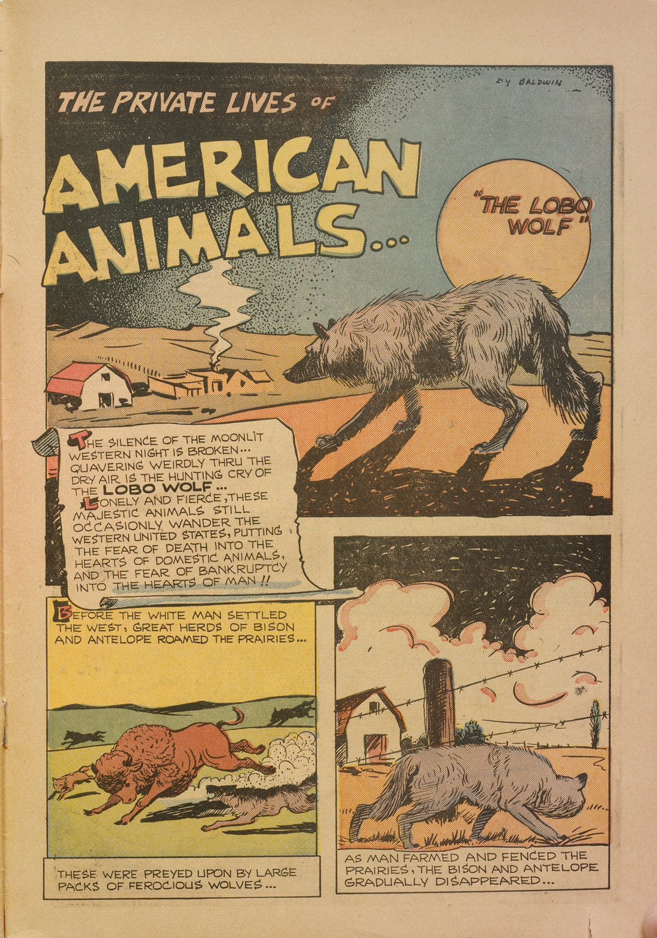 Read online Cosmo Cat Comics comic -  Issue #5 - 29