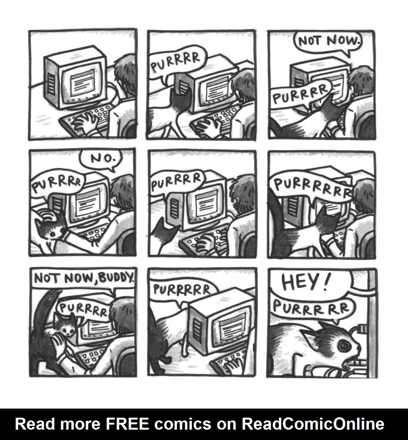 Read online Cats are Weird and More Observations comic -  Issue # TPB - 70