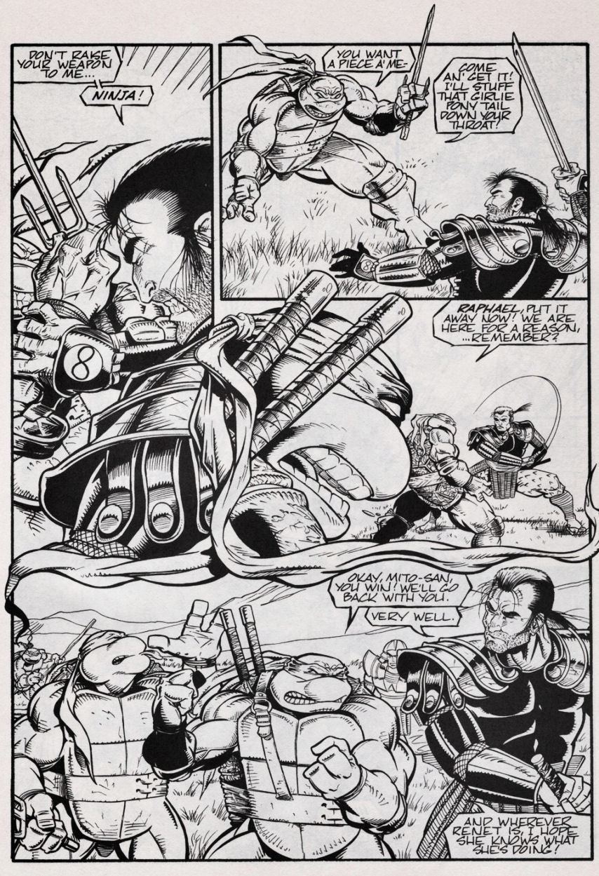 Read online Teenage Mutant Ninja Turtles (1984) comic -  Issue #47 - 4