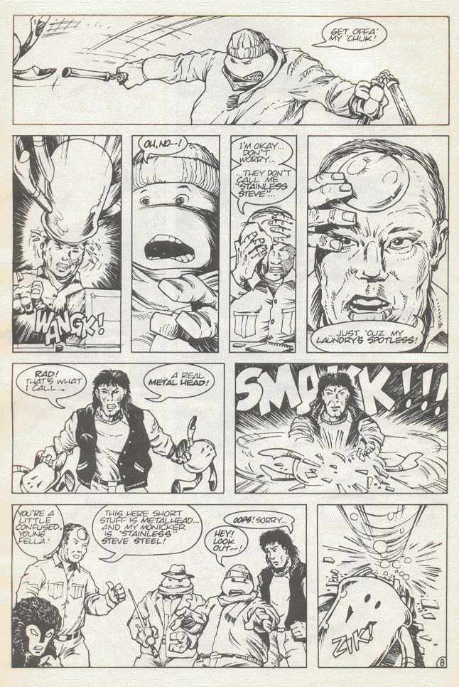 Teenage Mutant Ninja Turtles (1984) Issue #15 #15 - English 11