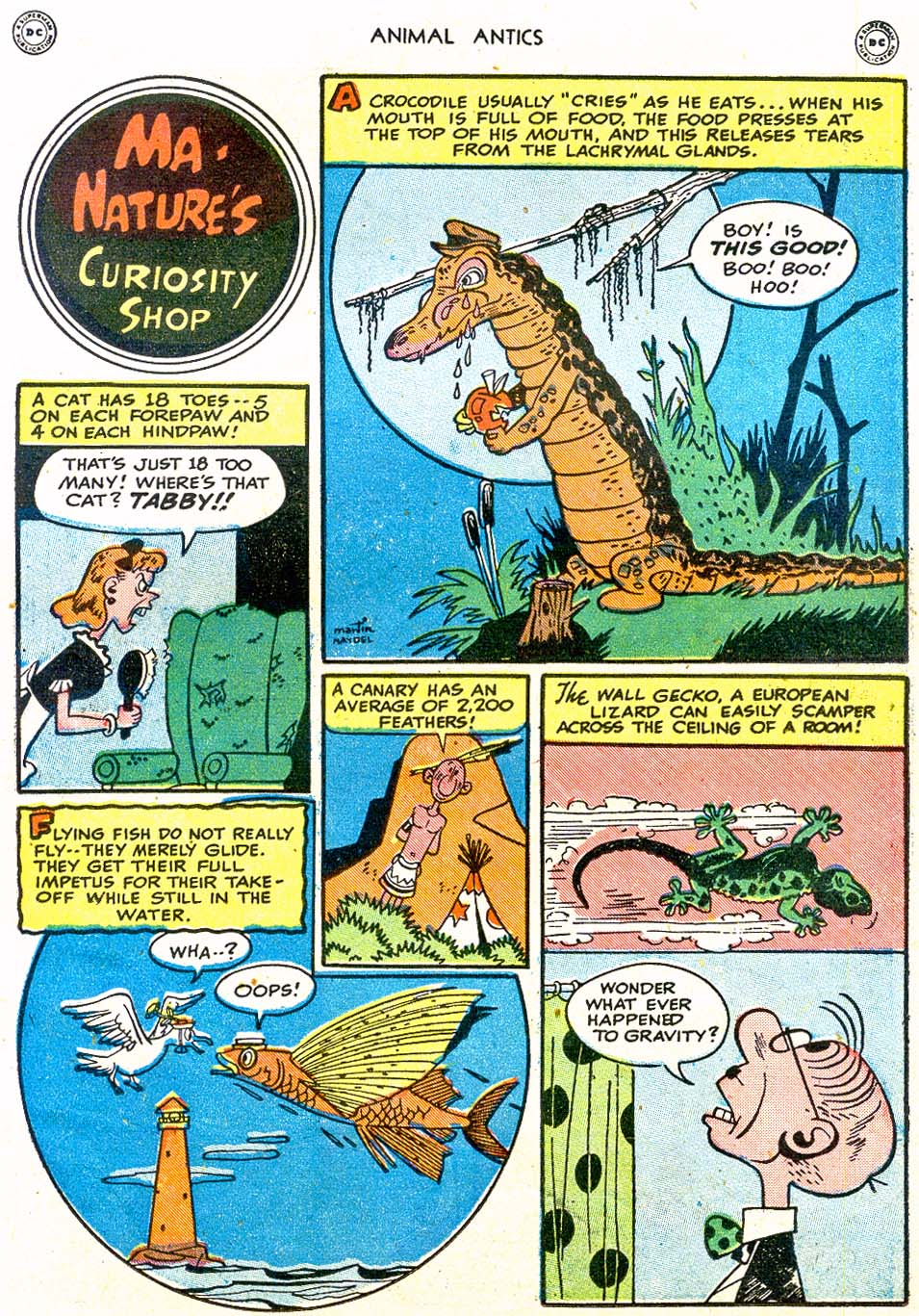 Read online Animal Antics comic -  Issue #17 - 33