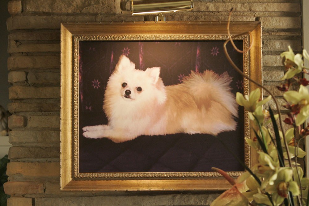 Read online Heroes comic -  Issue #71 - 7